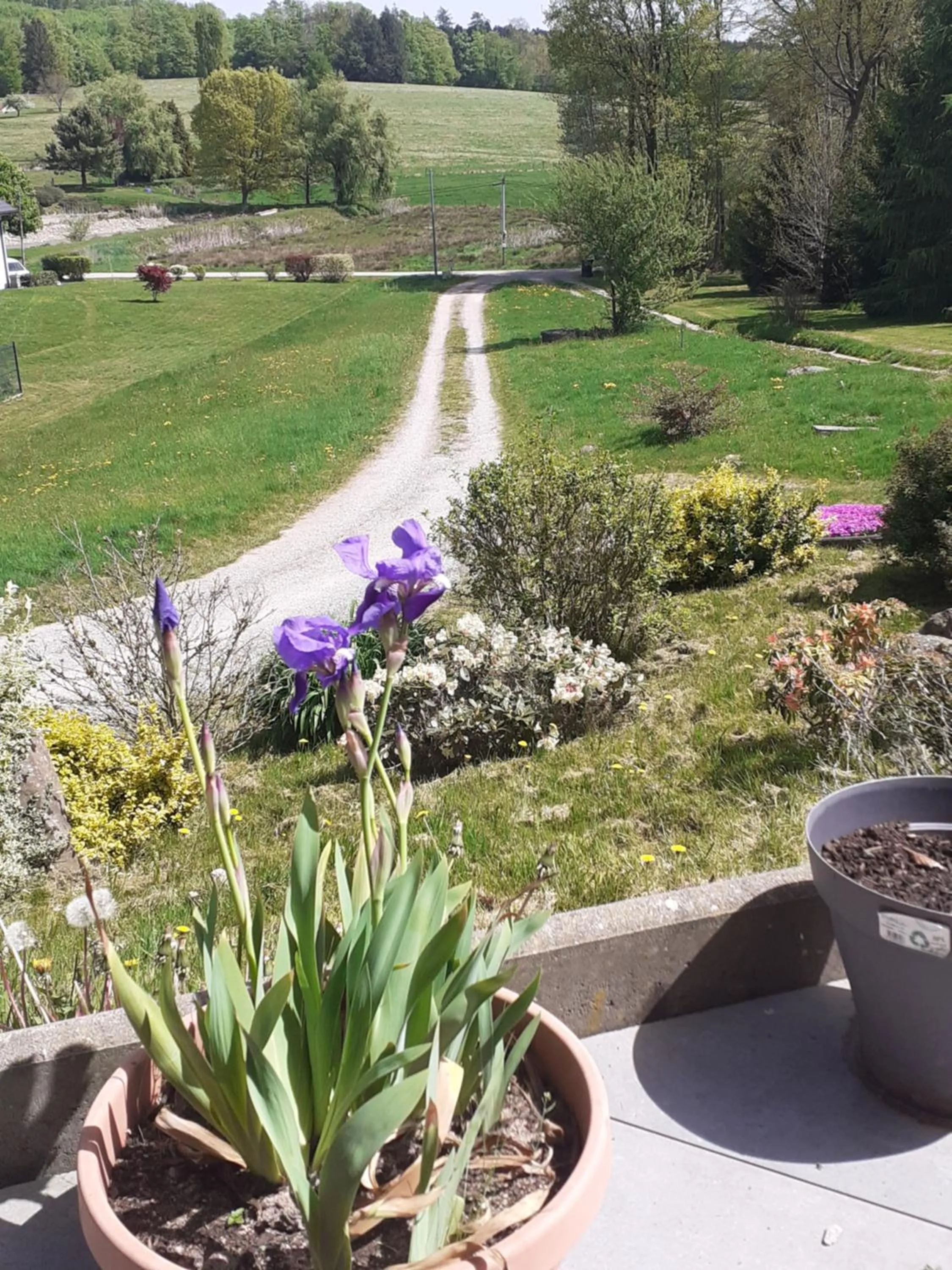 Chez Papy