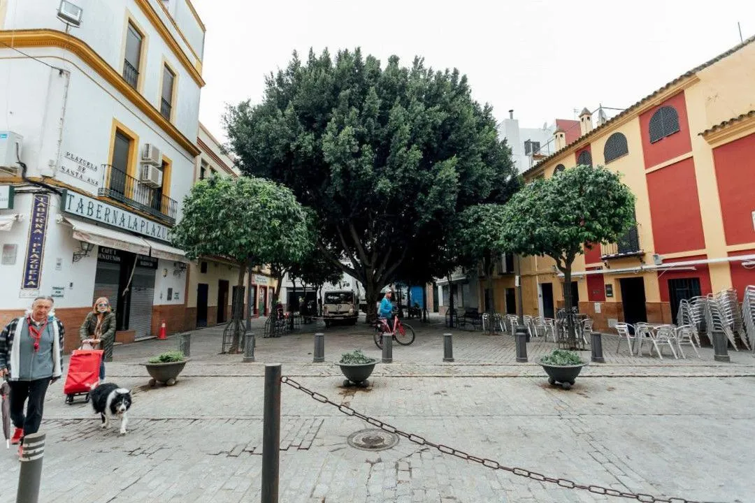 Other in Beautiful and charming apartment 1Bd1Bth - Triana