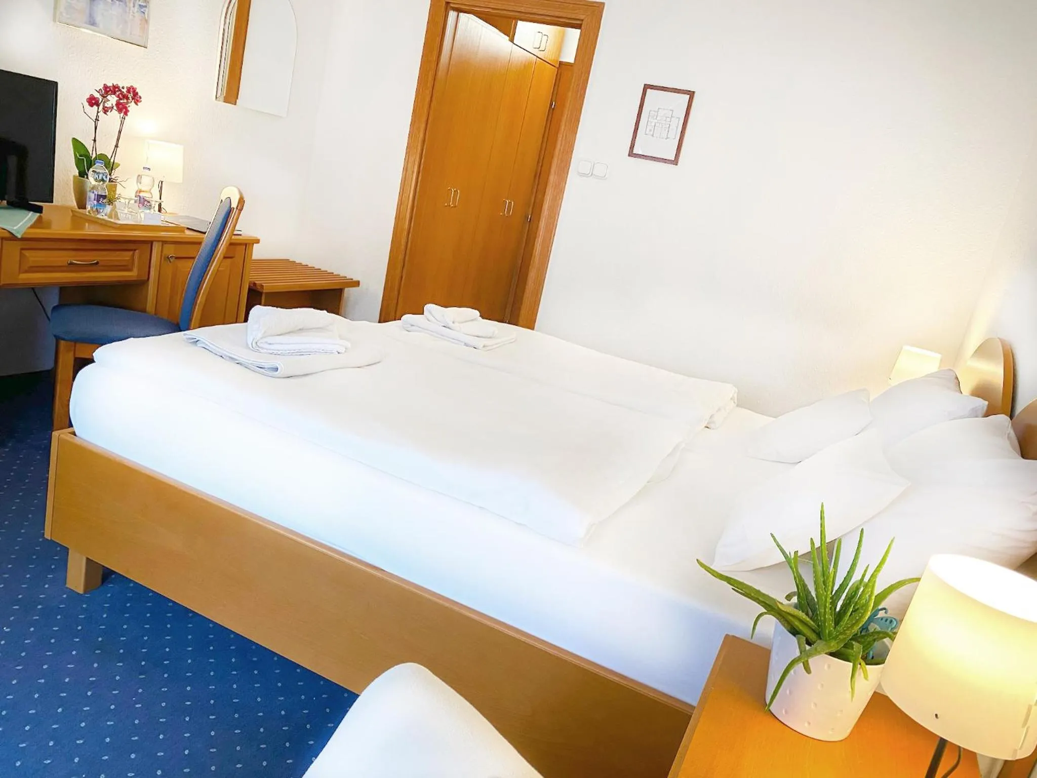 Double Room - single occupancy in Hotel Wesselényi