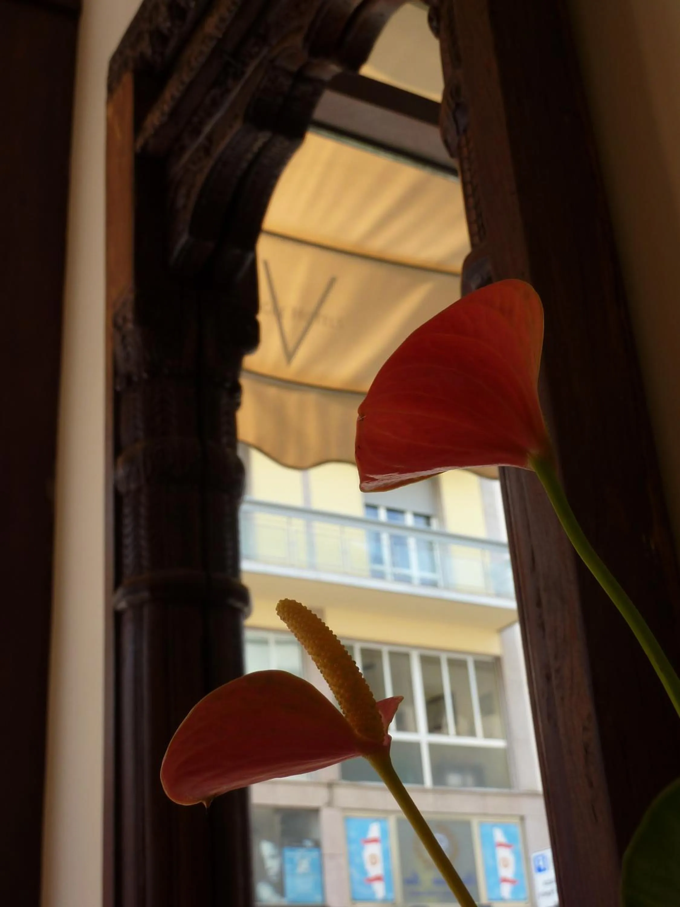 Other in Vogue Hotel Arezzo