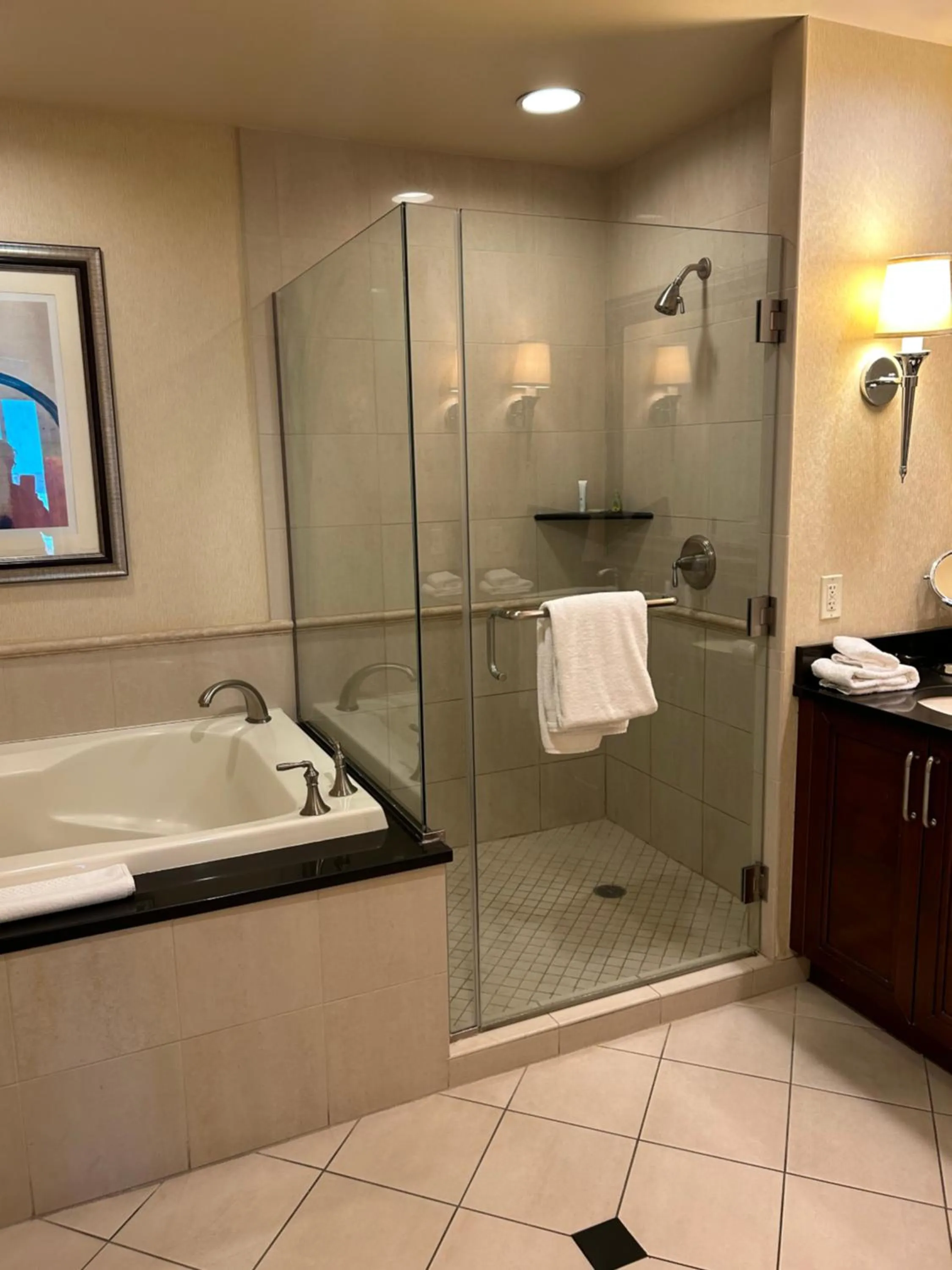 Bathroom in MGM signature tower 1