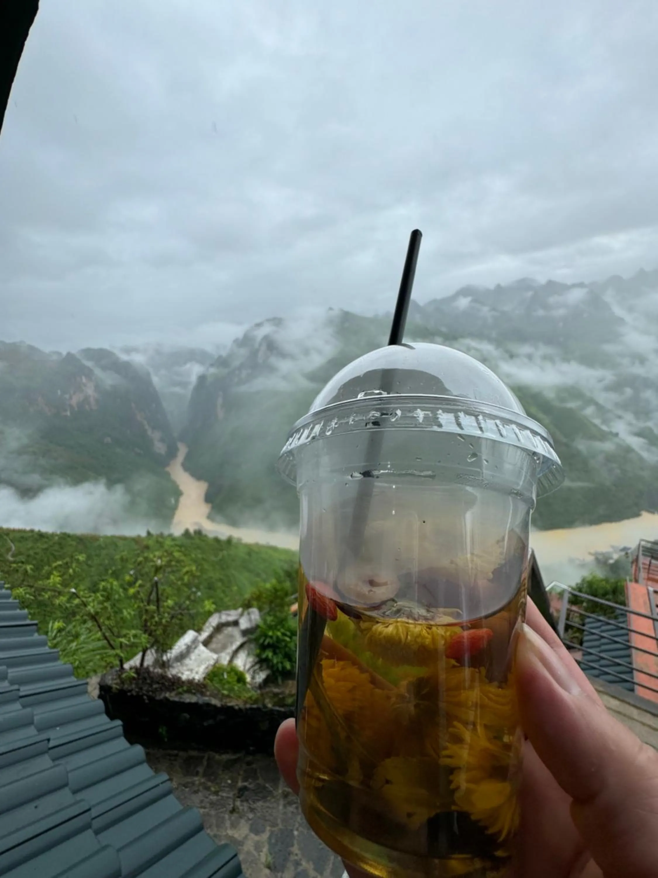 Garden view in TRUC LAM HOTEL