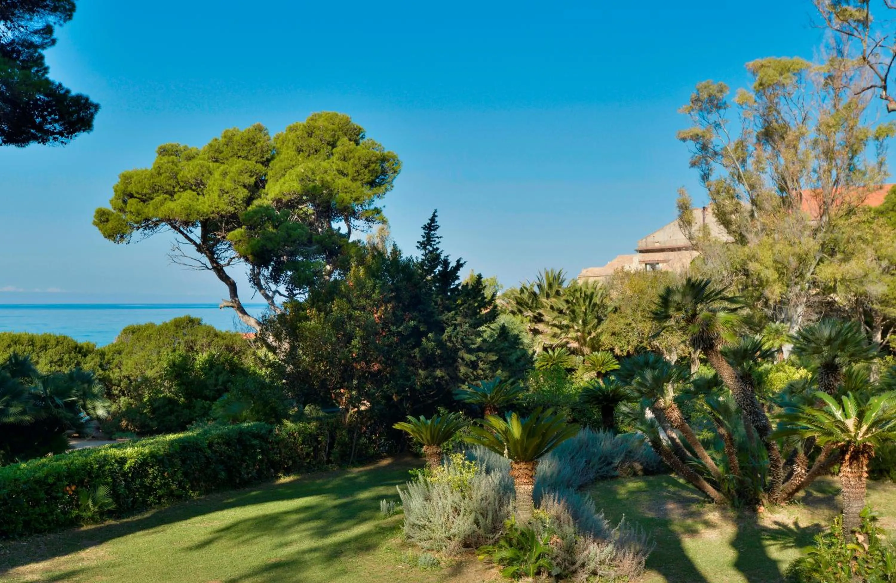 Garden in Palazzo Belmonte