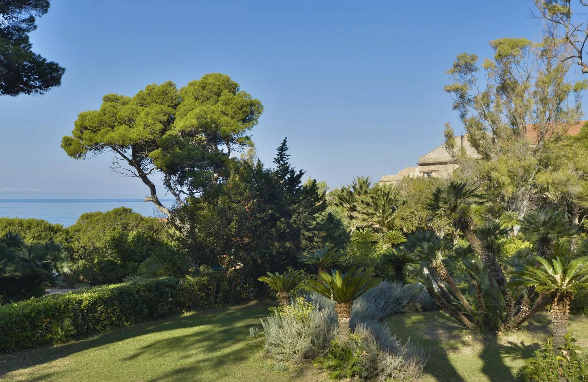 Garden in Palazzo Belmonte