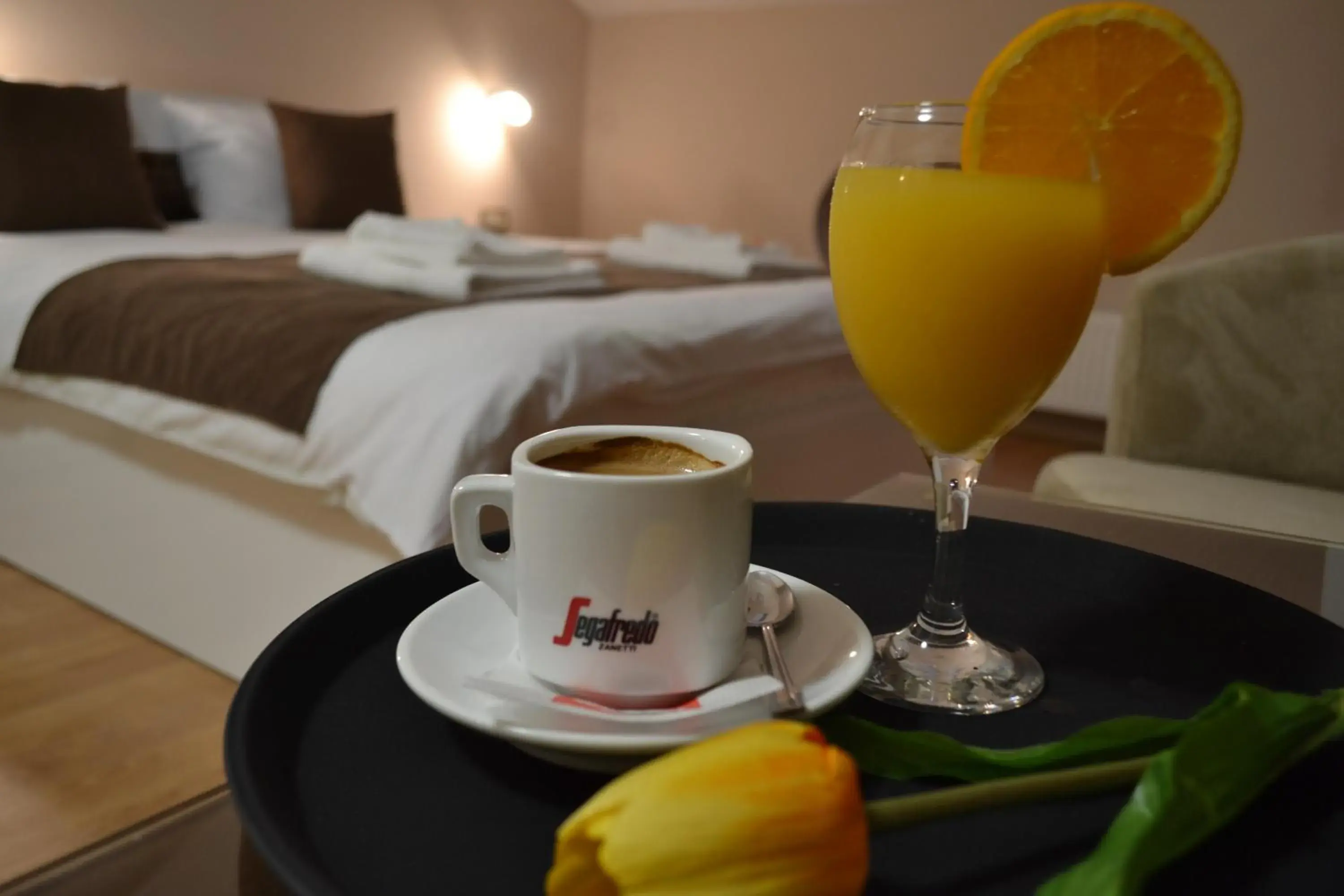 Double Room - single occupancy in City House Bitola Double Room - single occupancy in City House Bitola