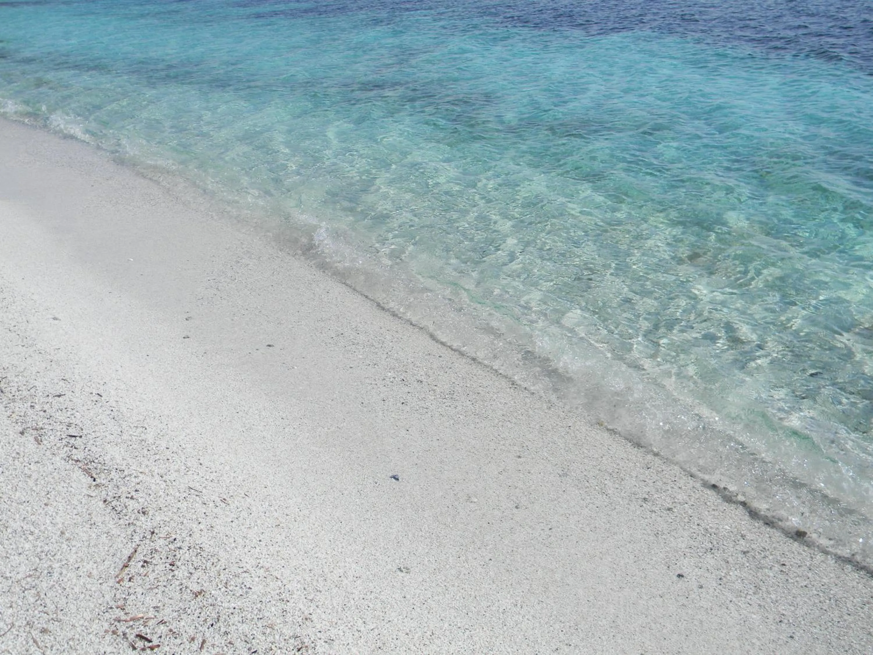 Beach in Is Benas Country Lodge
