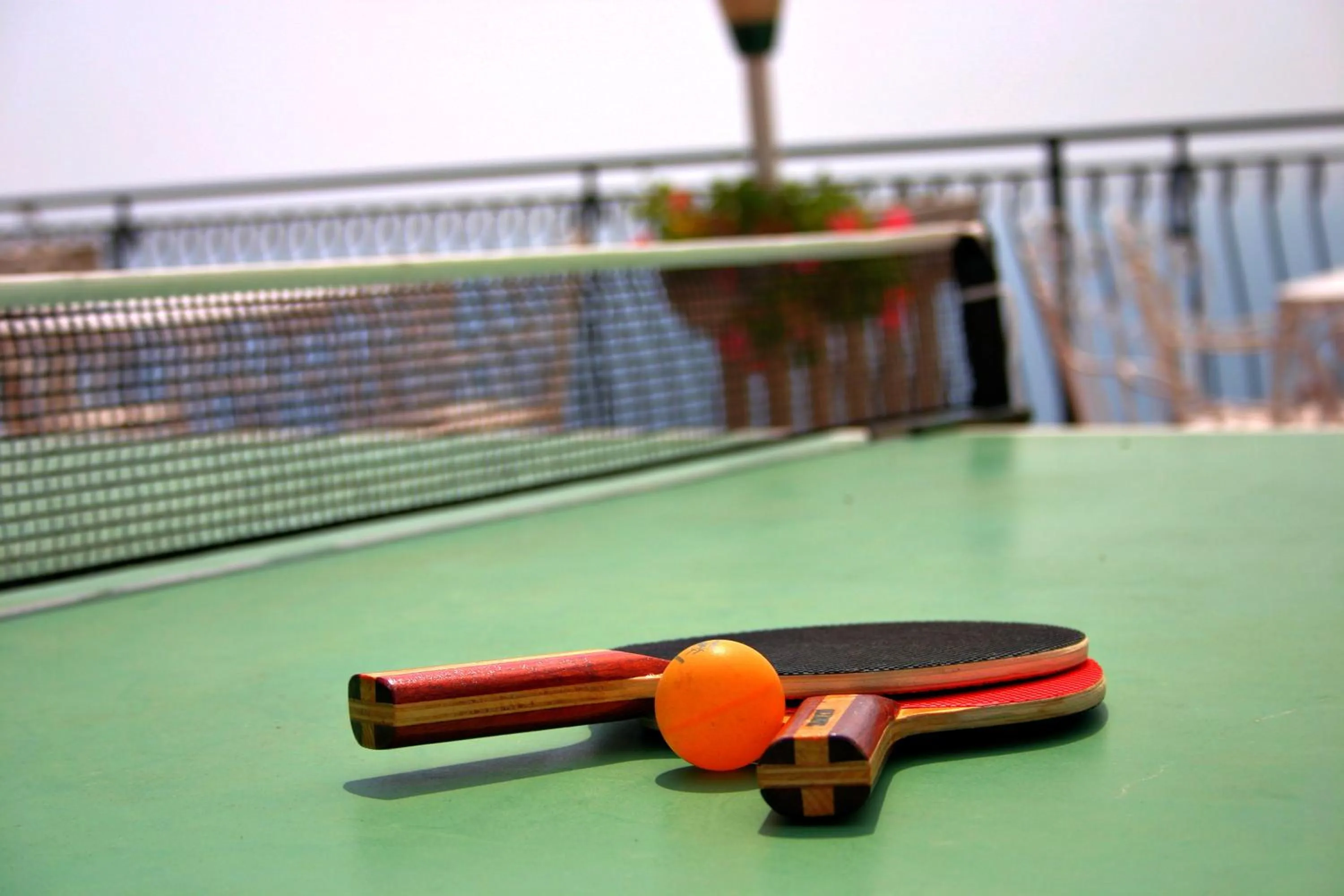 Table tennis in La Riserva di Castel d'Appio- Charme & Relax