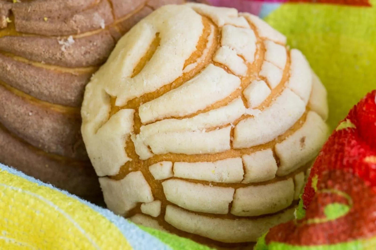 Restaurant/places to eat in LOL-HA Hotel Boutique Aeropuerto Cancún