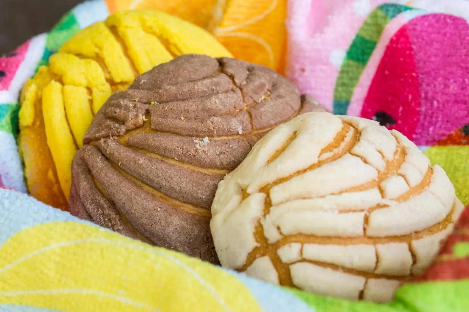 Restaurant/places to eat in LOL-HA Hotel Boutique Aeropuerto Cancún