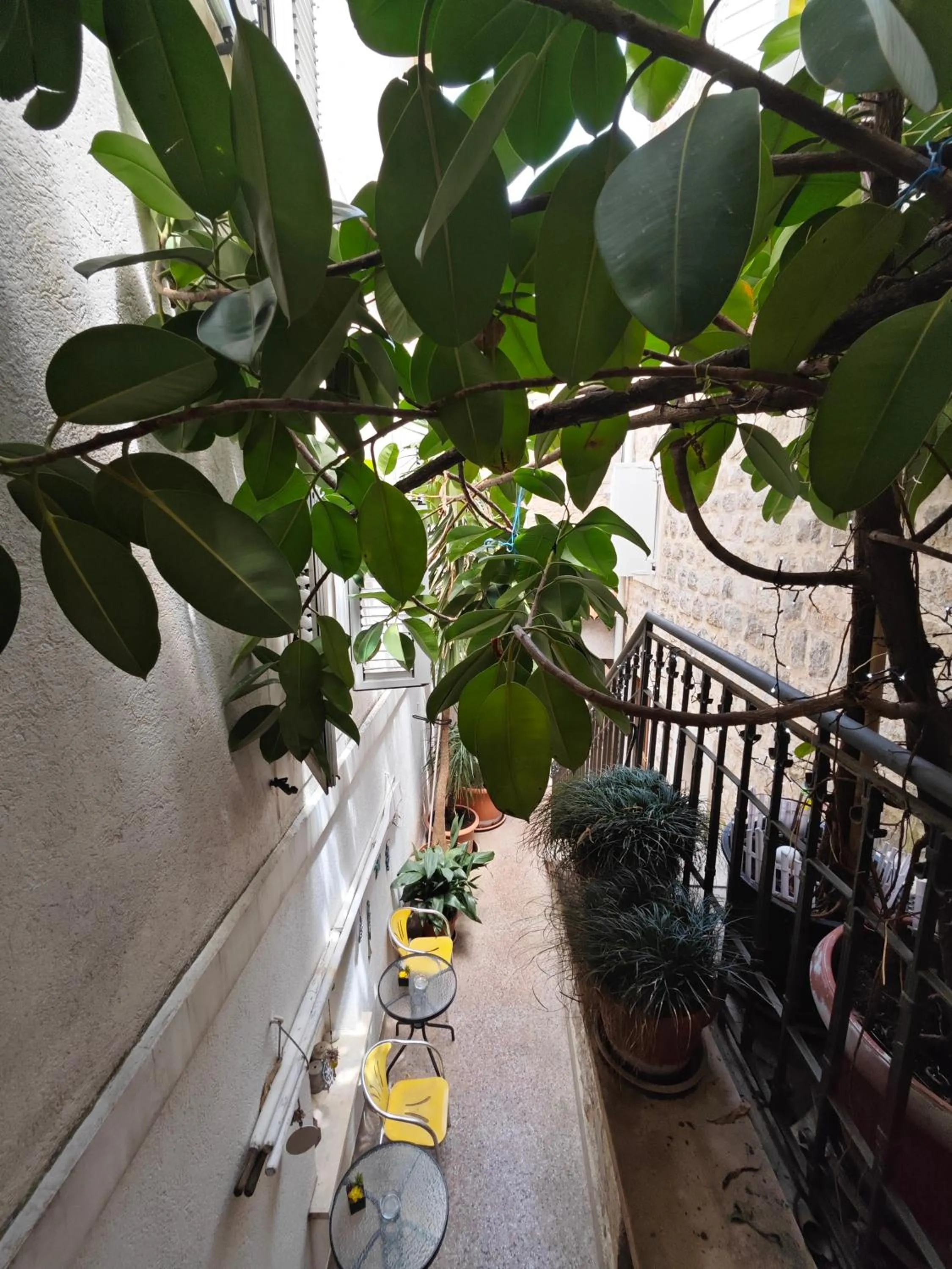 Day in Beatrix Suites