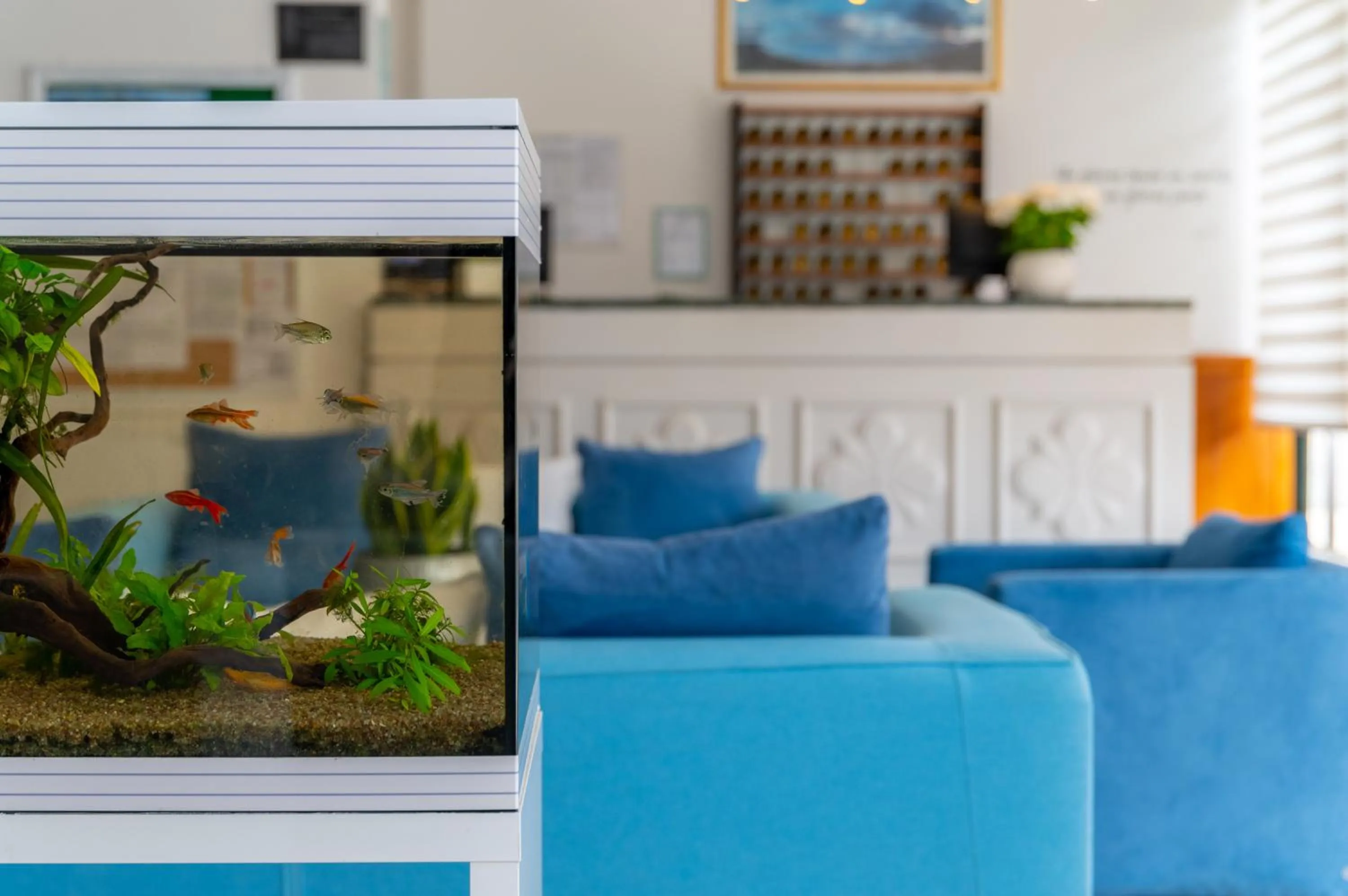 Lobby or reception in Hotel Doria