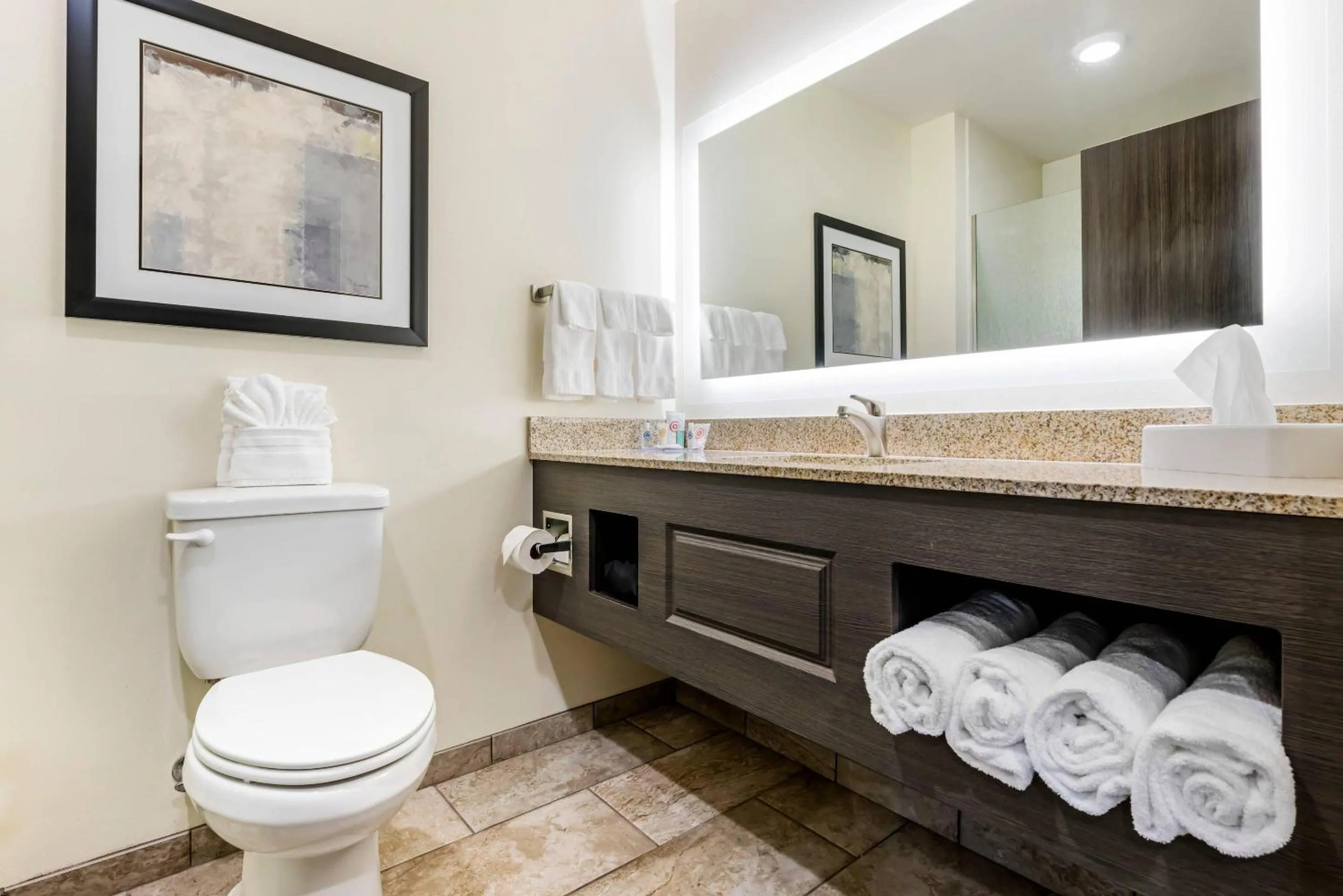 Bedroom in Comfort Inn & Suites Medina