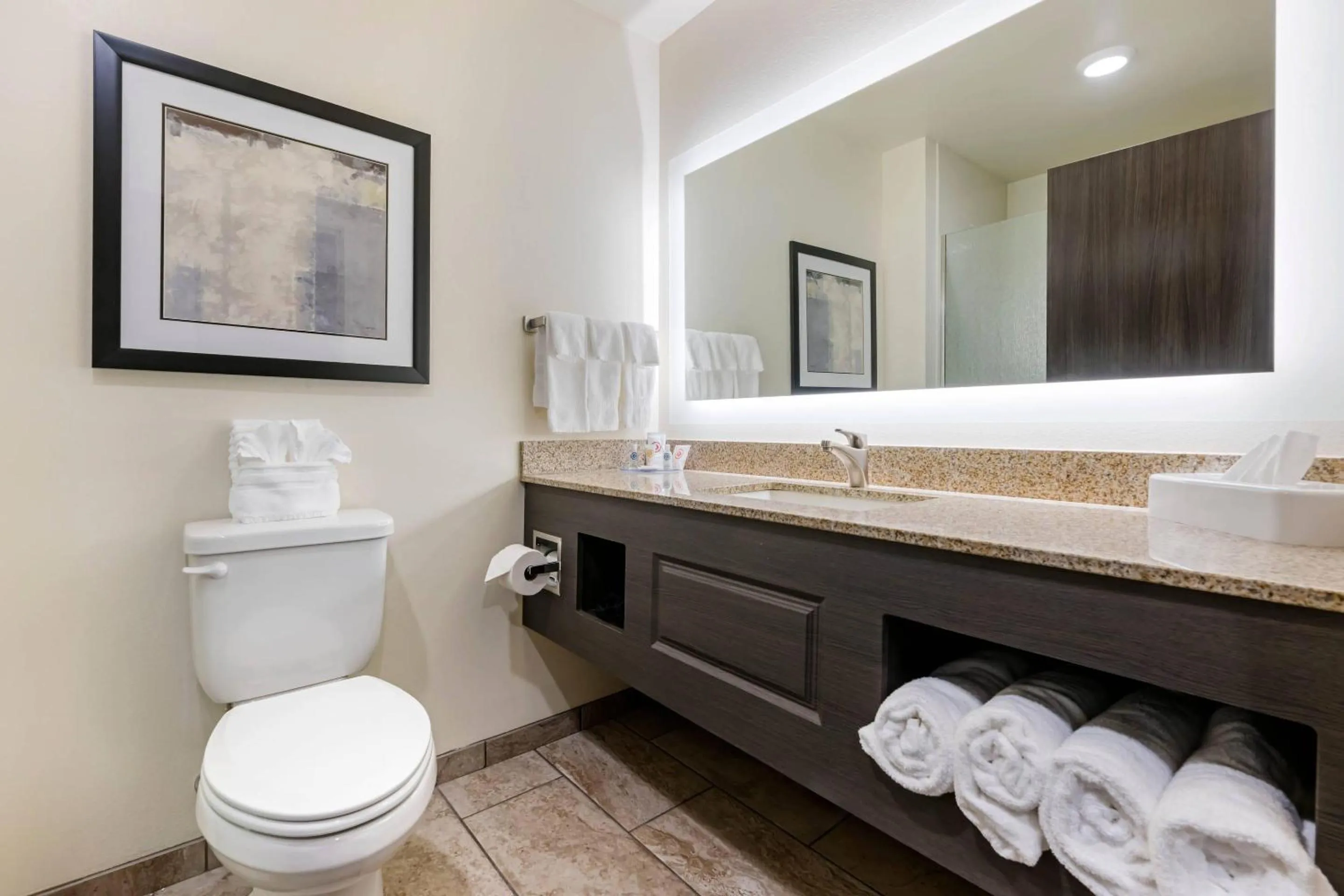 Bedroom in Comfort Inn & Suites Medina