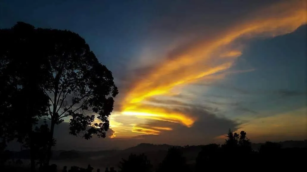 RIVERSIDE PALM INN SG LEMBING