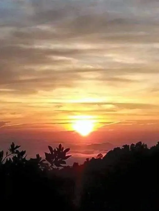 RIVERSIDE PALM INN SG LEMBING