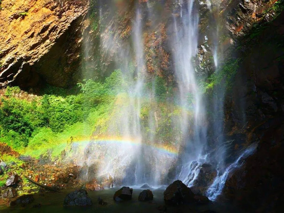 RIVERSIDE PALM INN SG LEMBING