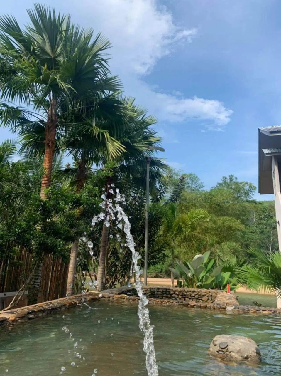 Swimming pool in RIVERSIDE PALM INN SG LEMBING