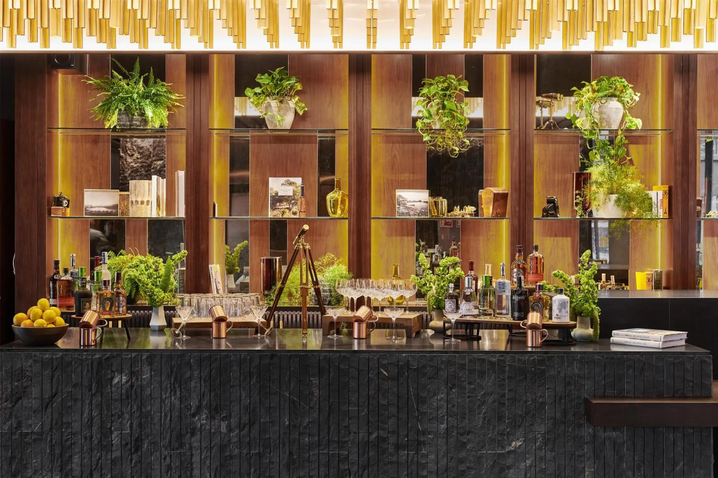 Food and drinks in Thompson Madrid, by Hyatt Food and drinks in Thompson Madrid, by Hyatt