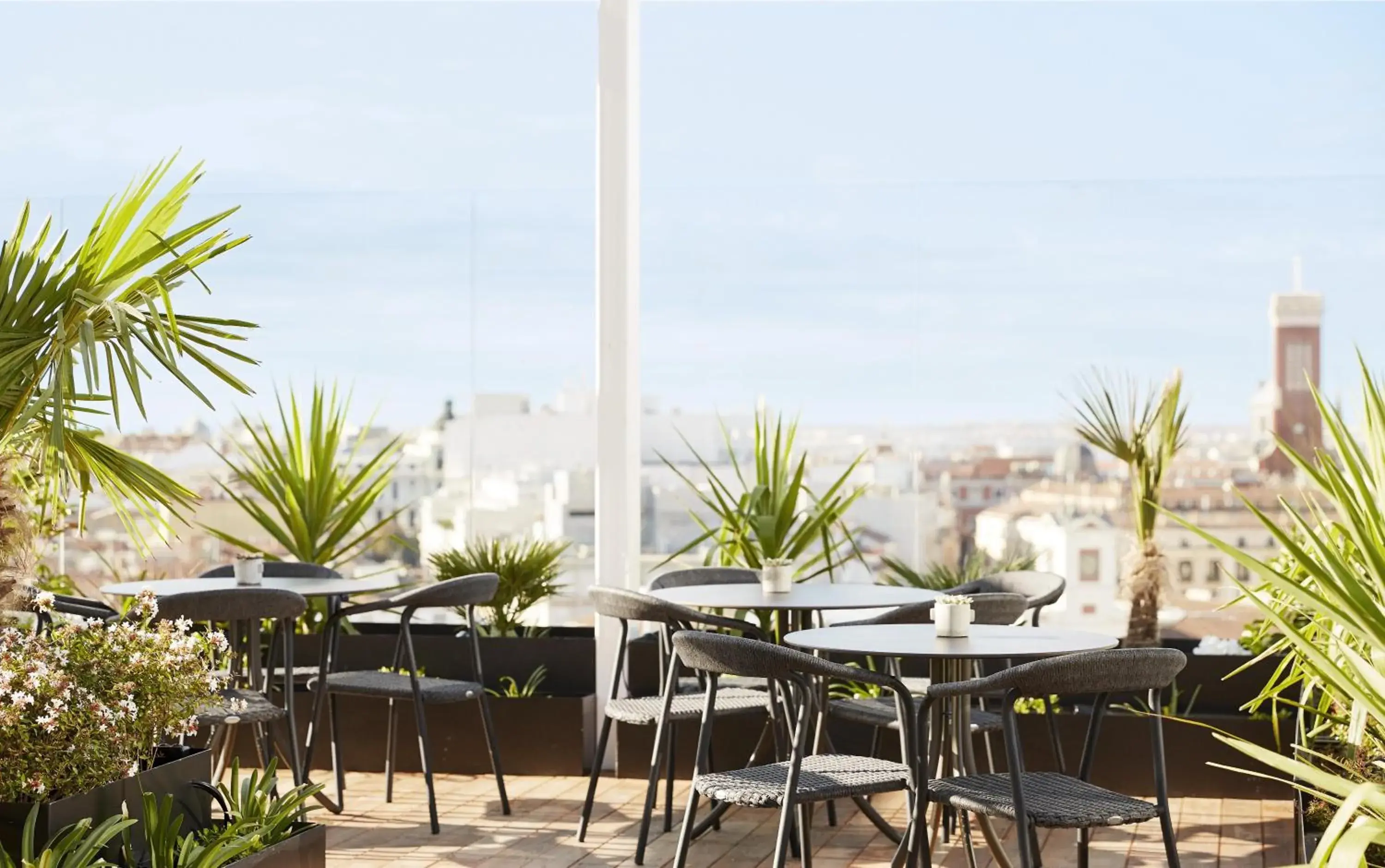 Restaurant/places to eat in Thompson Madrid, by Hyatt Restaurant/places to eat in Thompson Madrid, by Hyatt