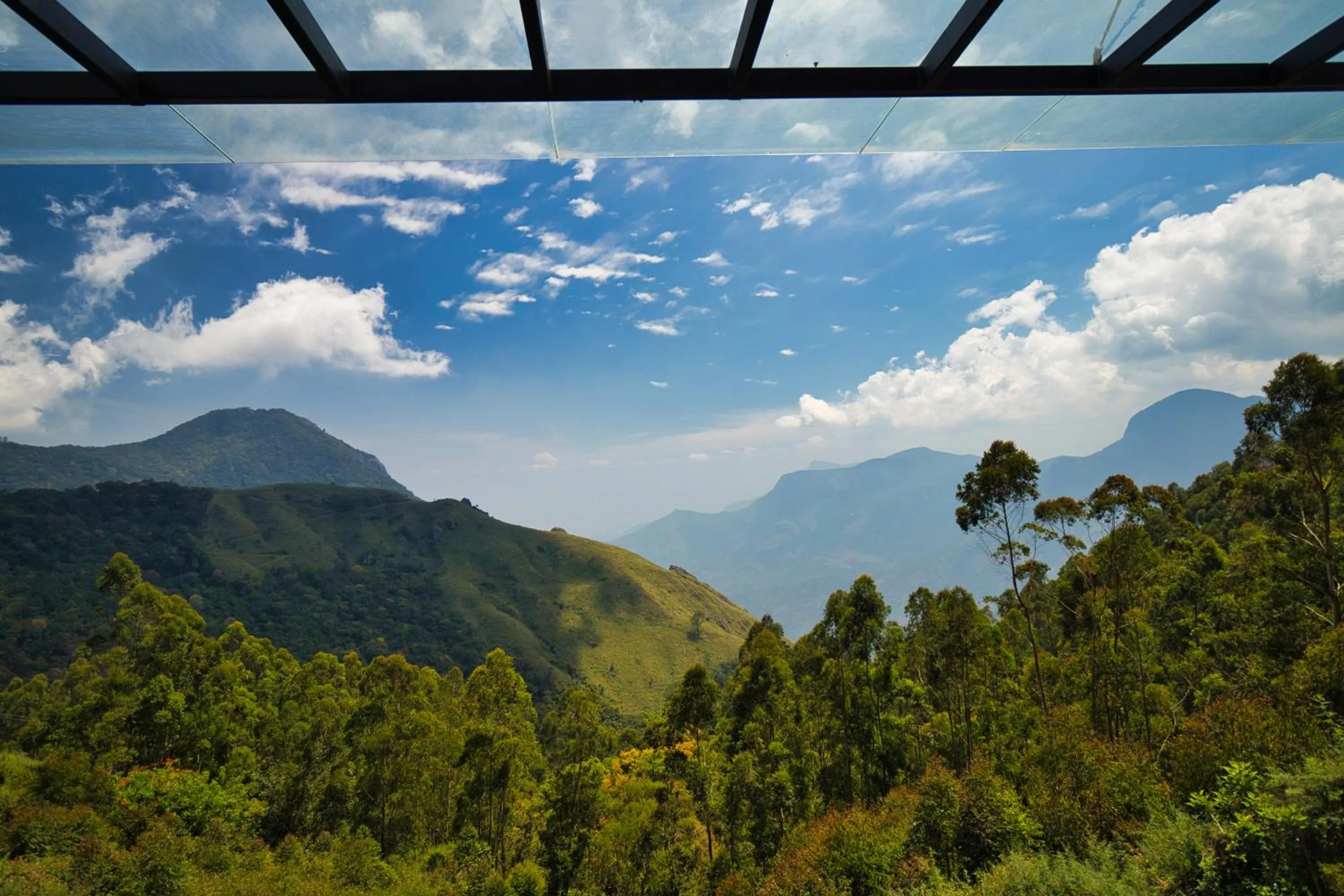 Natural landscape in Chandys Drizzle Drops - Munnar Top Station