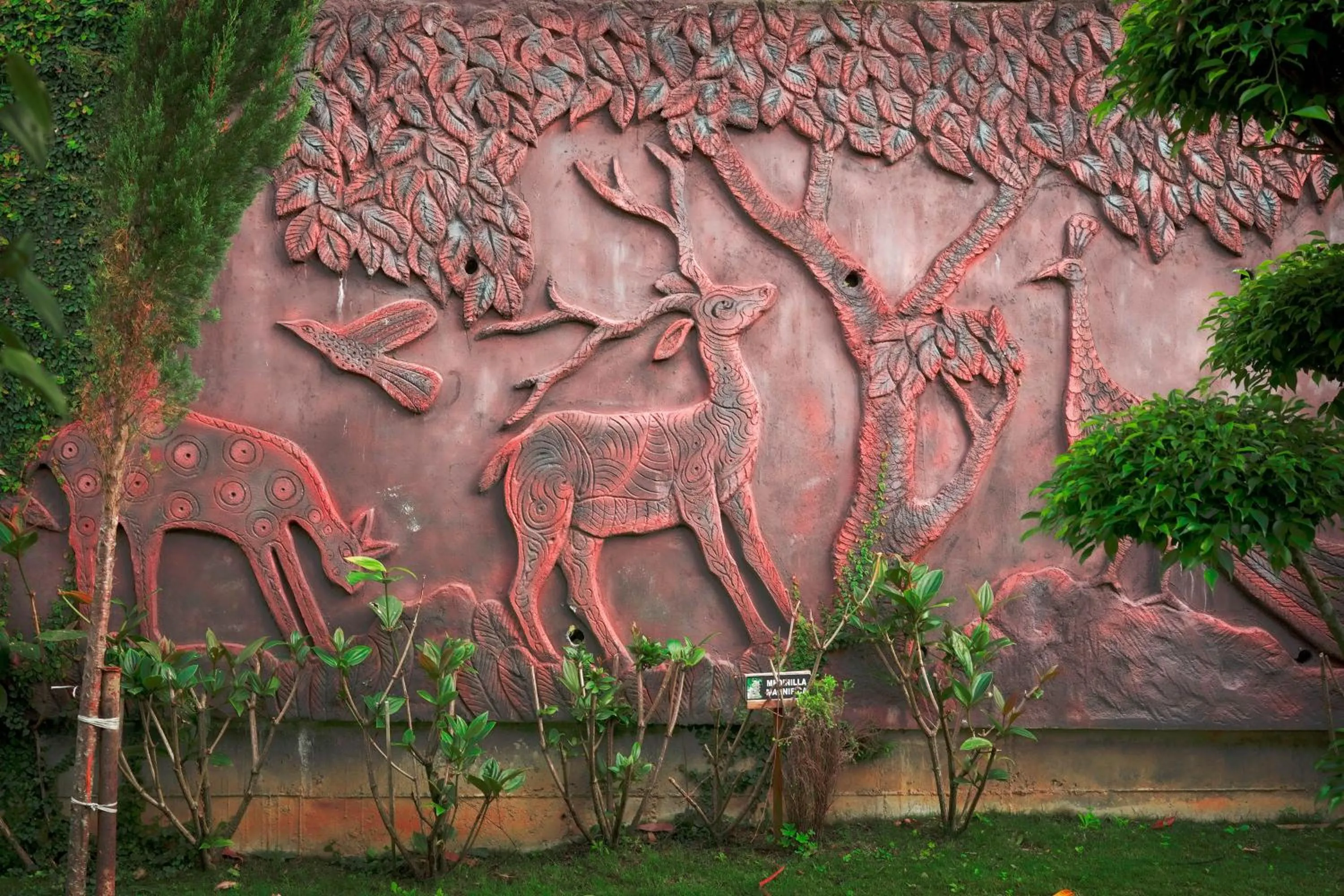 Property building in Chandys Drizzle Drops - Munnar Top Station