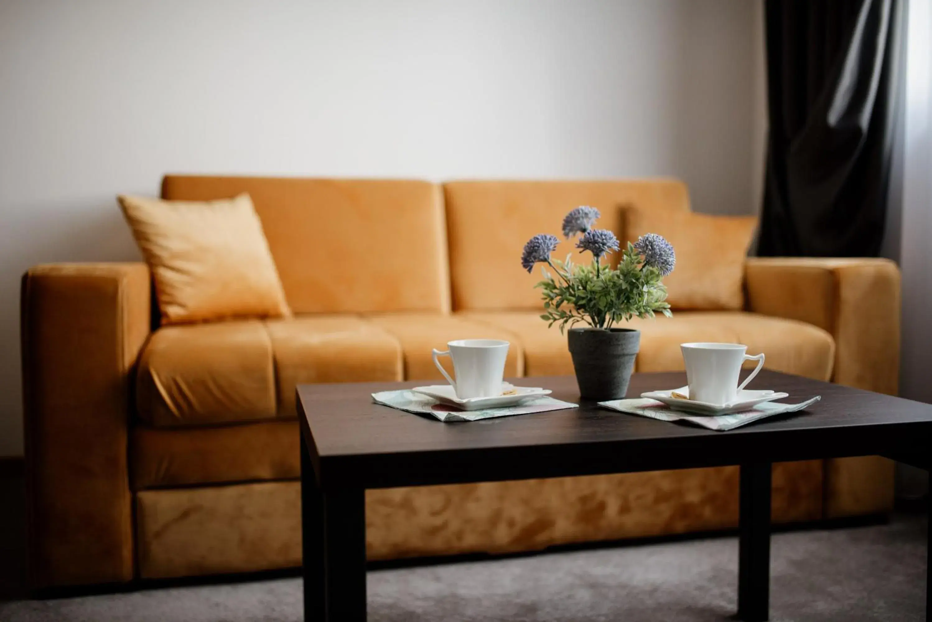 Living room in Hotel Djina - Kopaonik Living room in Hotel Djina - Kopaonik