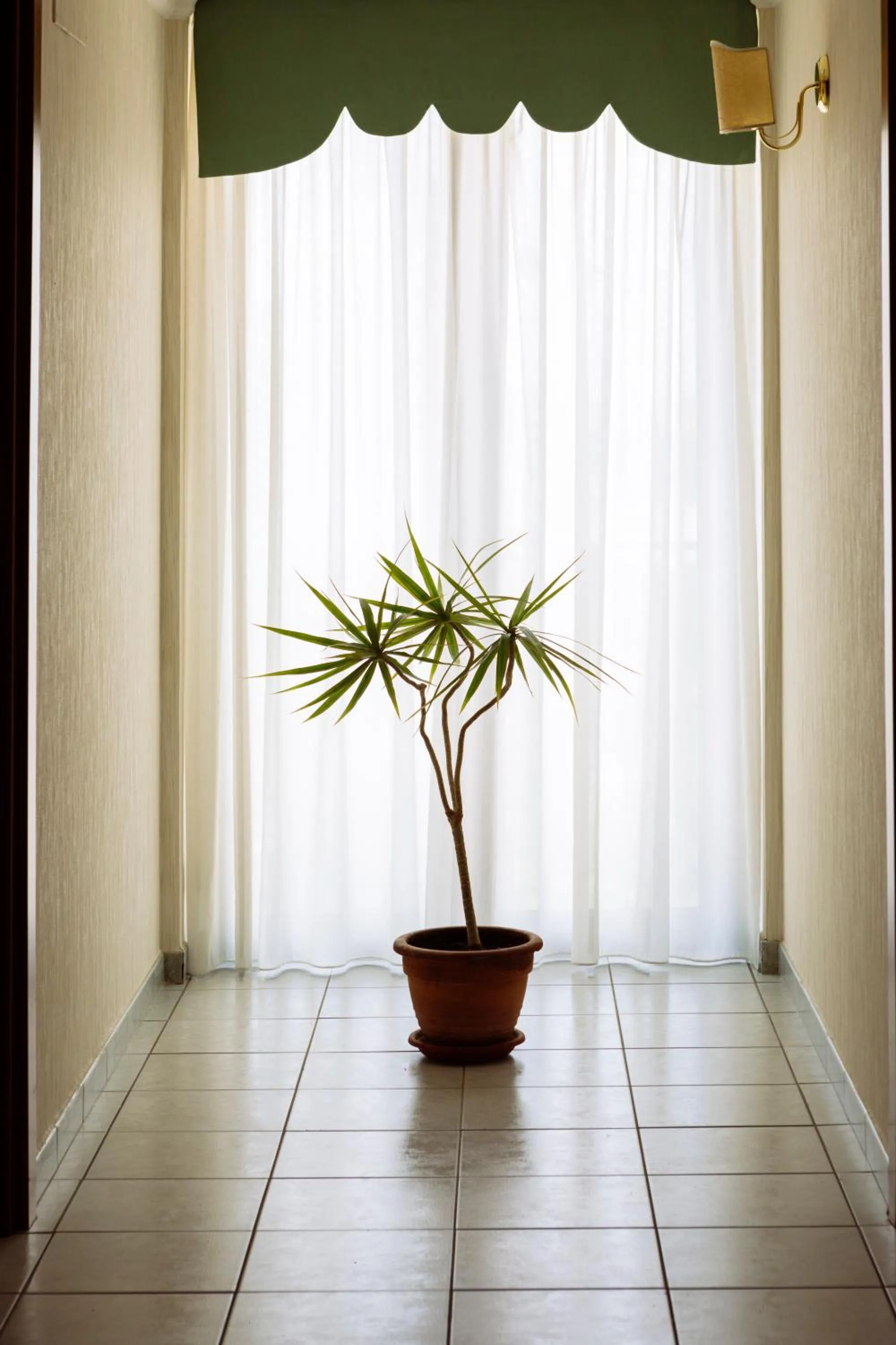 Hotel Leon - Ristorante Al Cavallino Rosso