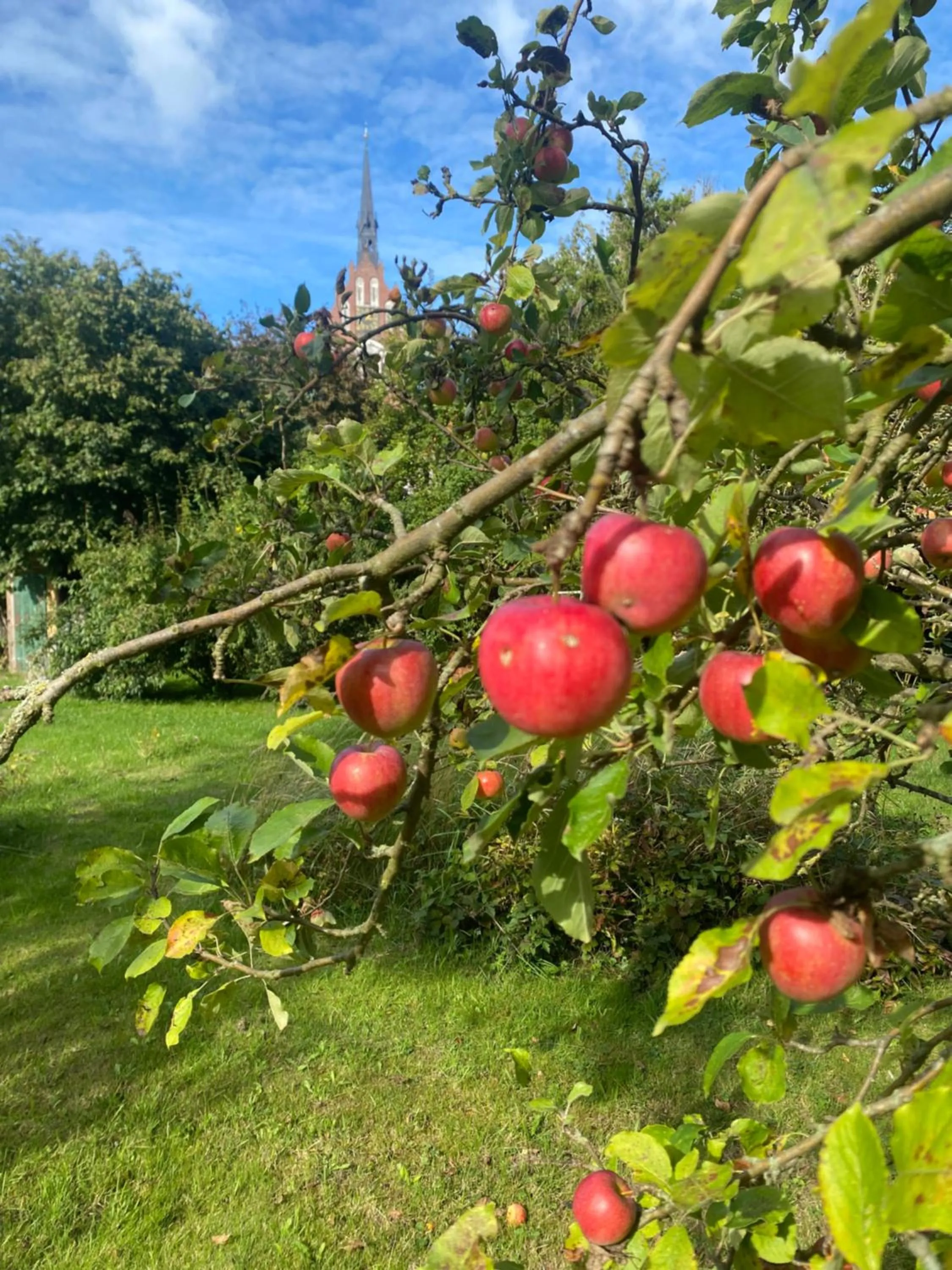 Garden in norddeutscher Hof - Kutscherstation