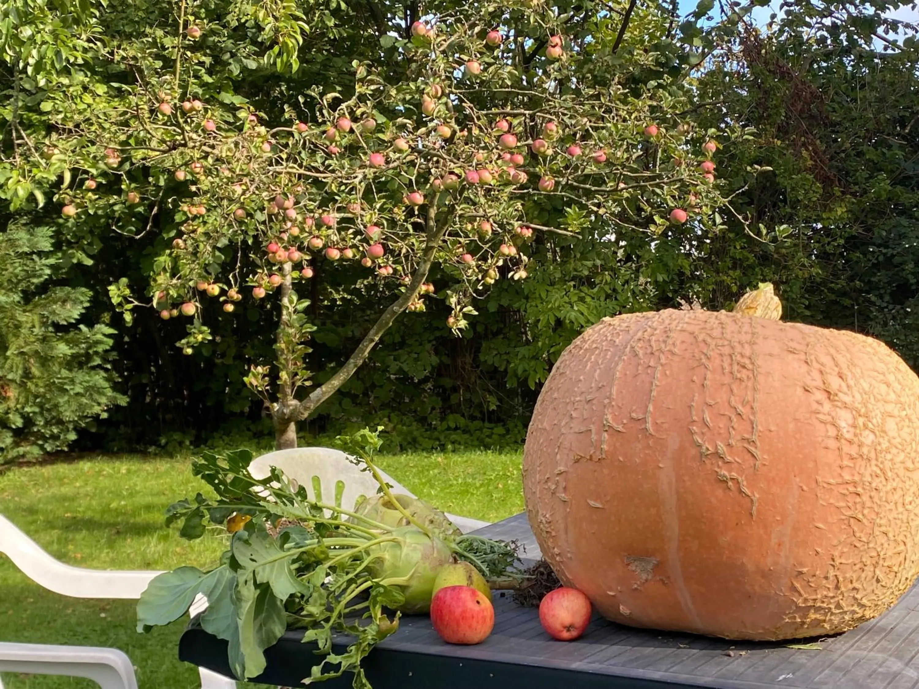Garden in norddeutscher Hof - Kutscherstation