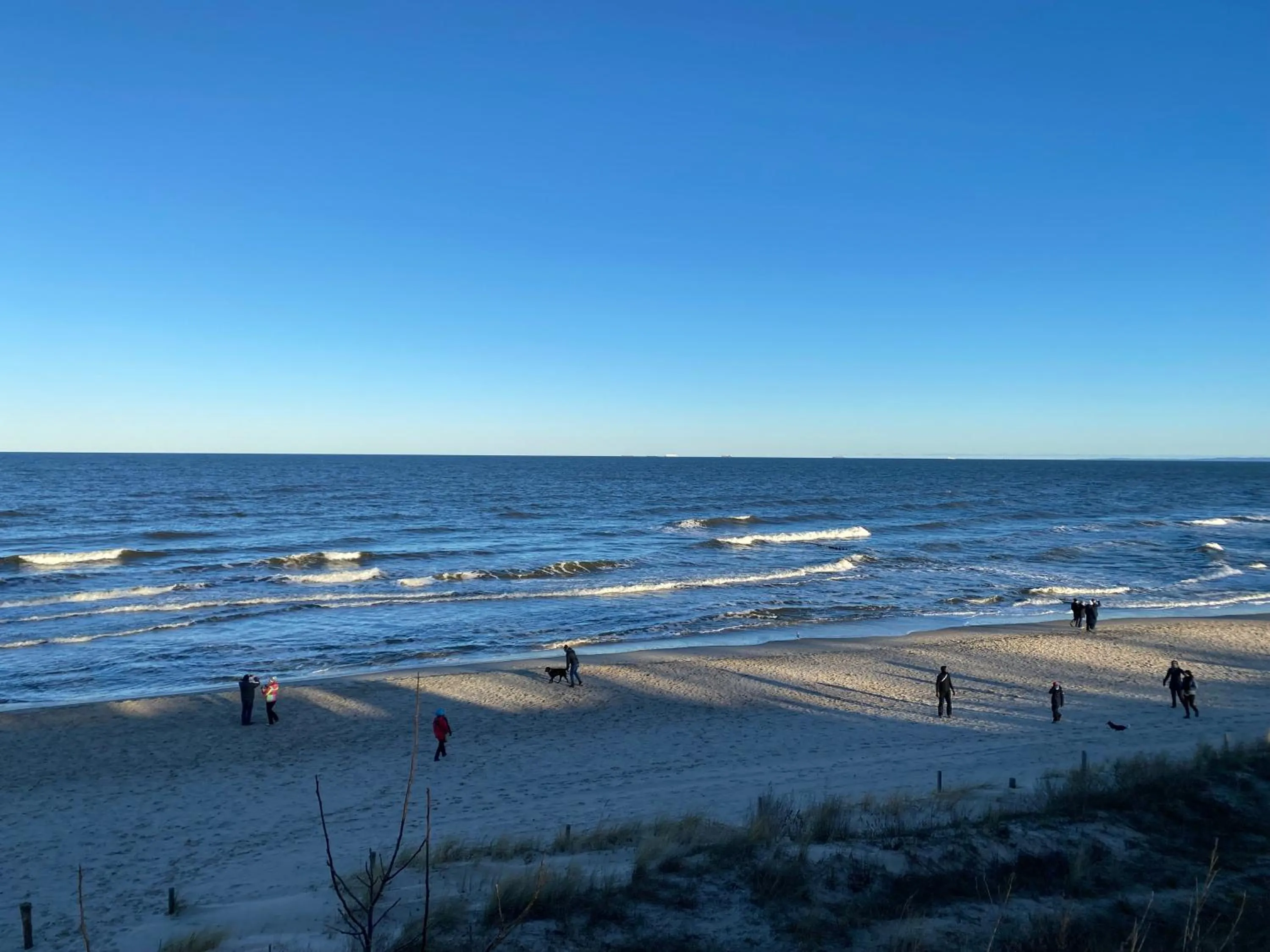 Natural landscape in norddeutscher Hof - Kutscherstation