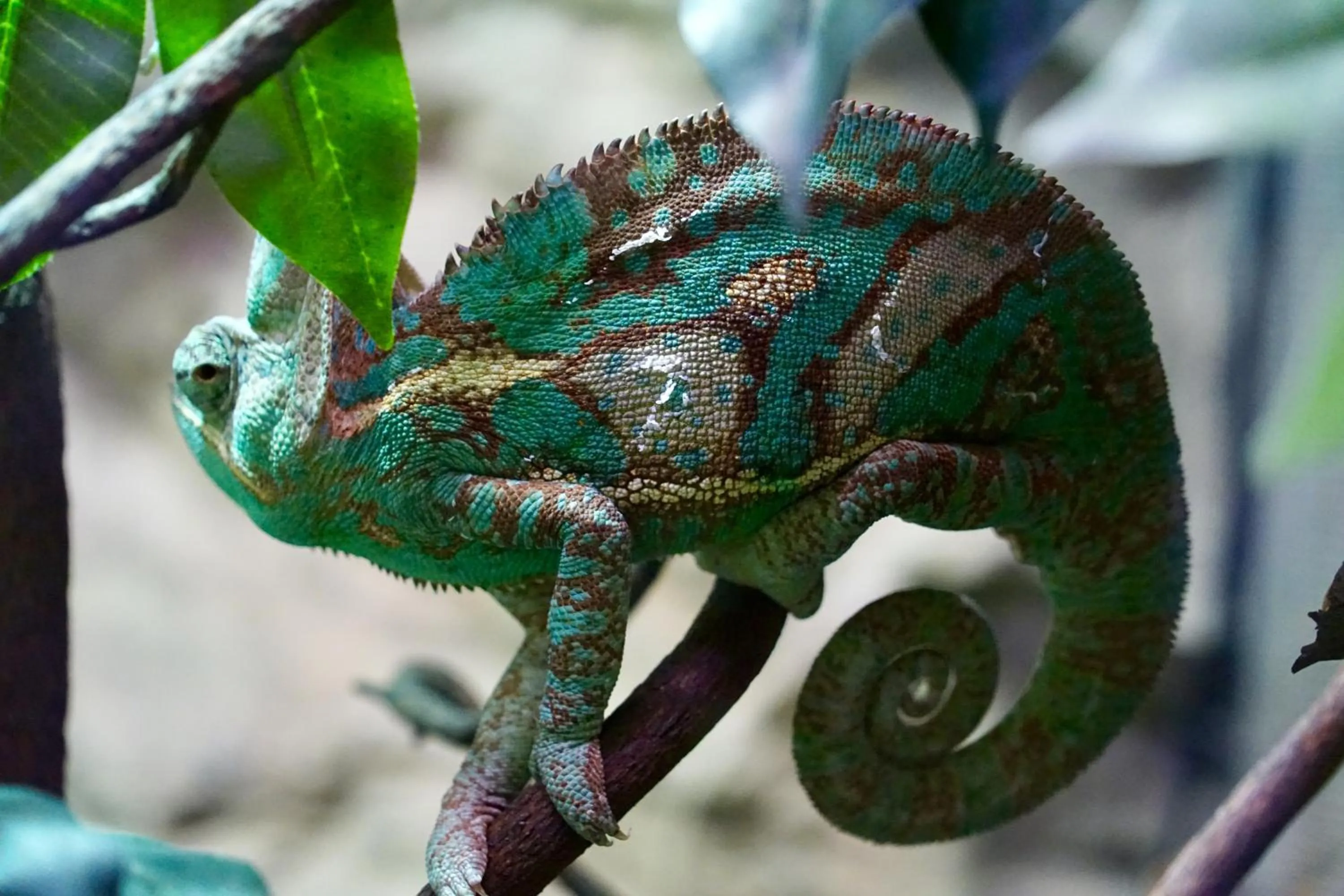 Aqua park in Hotel Citta'