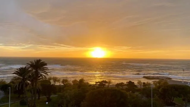 Activities in Hotel Citta'