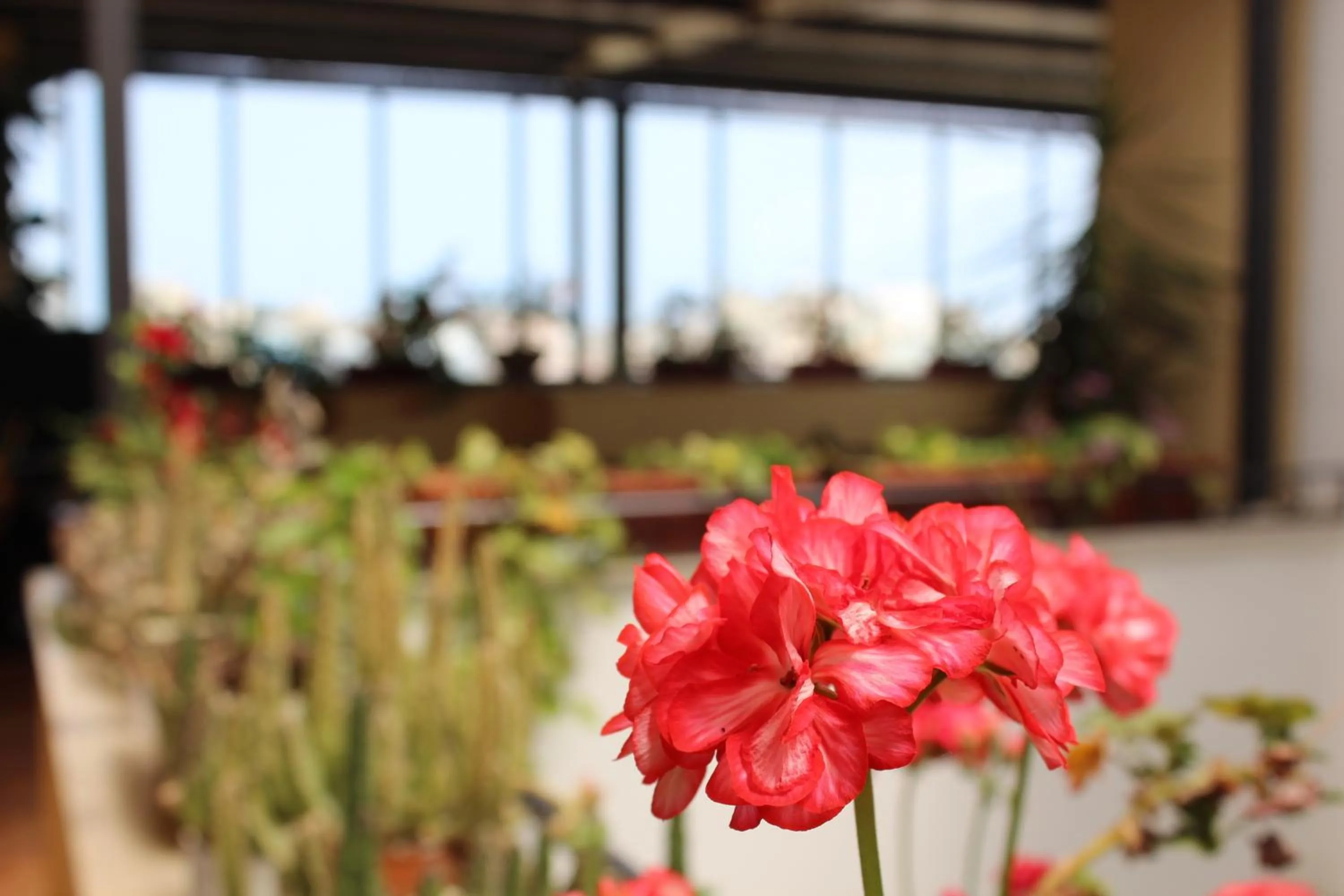 Decorative detail in Hotel Residence Le Chiavi Di San Francesco