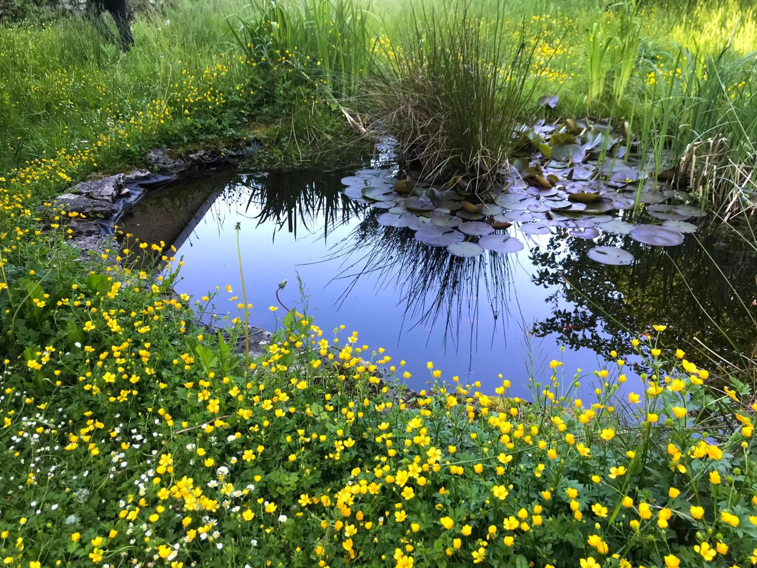 Garden in Manoir Saint-Pierre