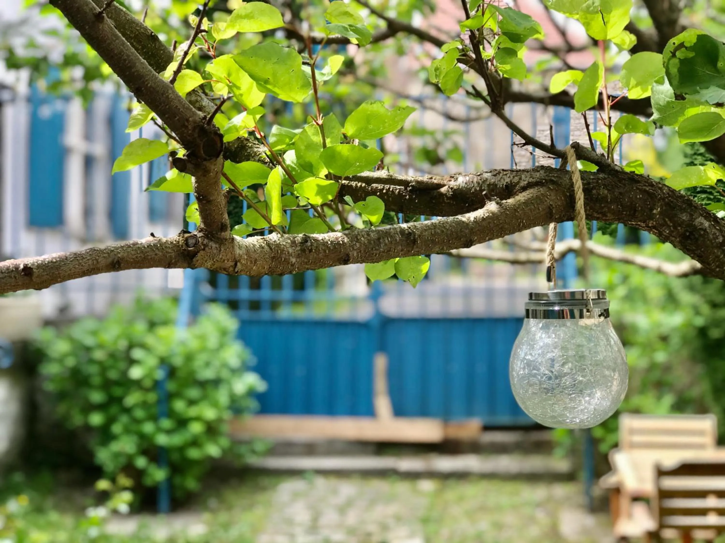 Garden in Manoir Saint-Pierre