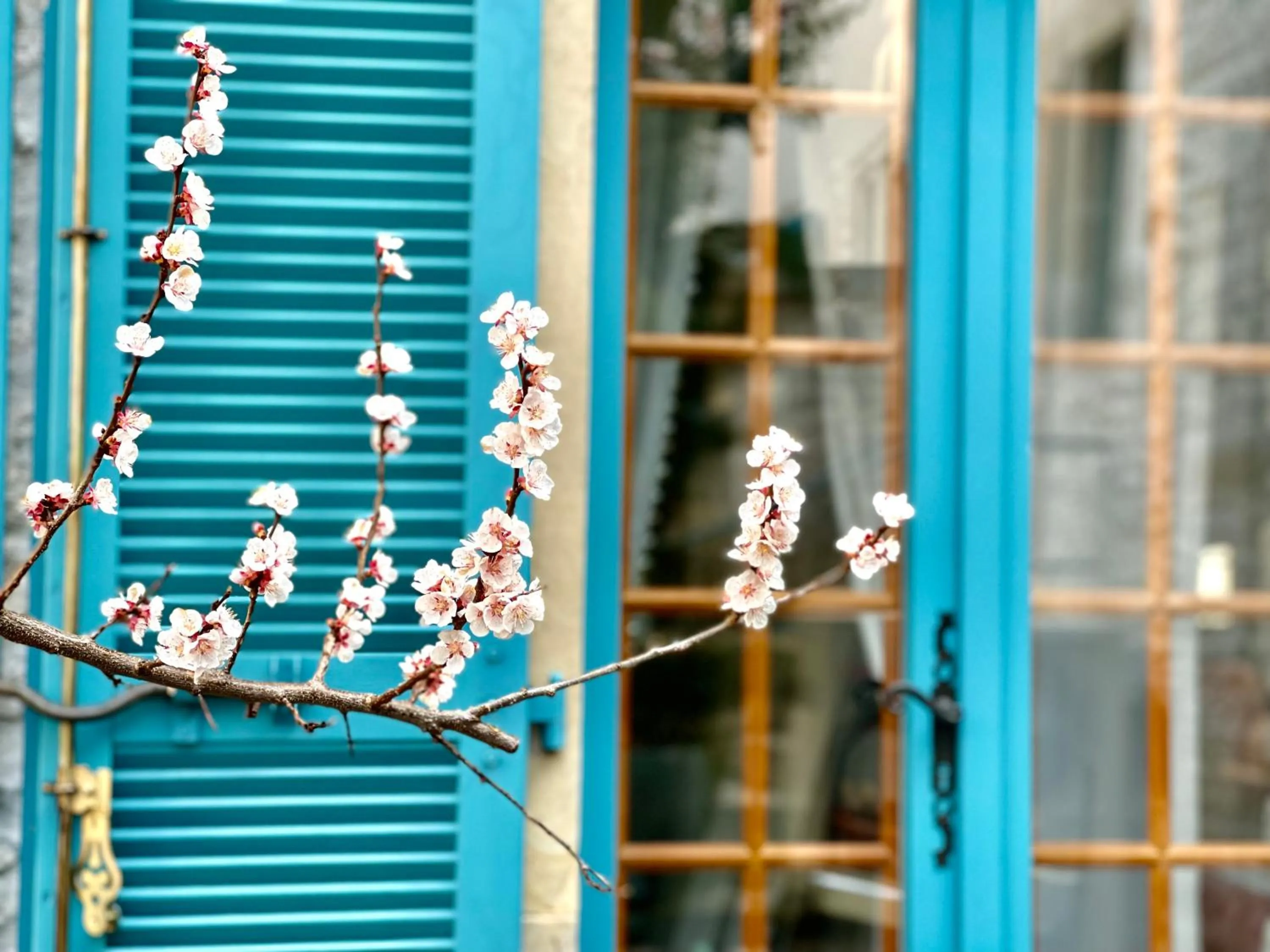 Garden view in Manoir Saint-Pierre