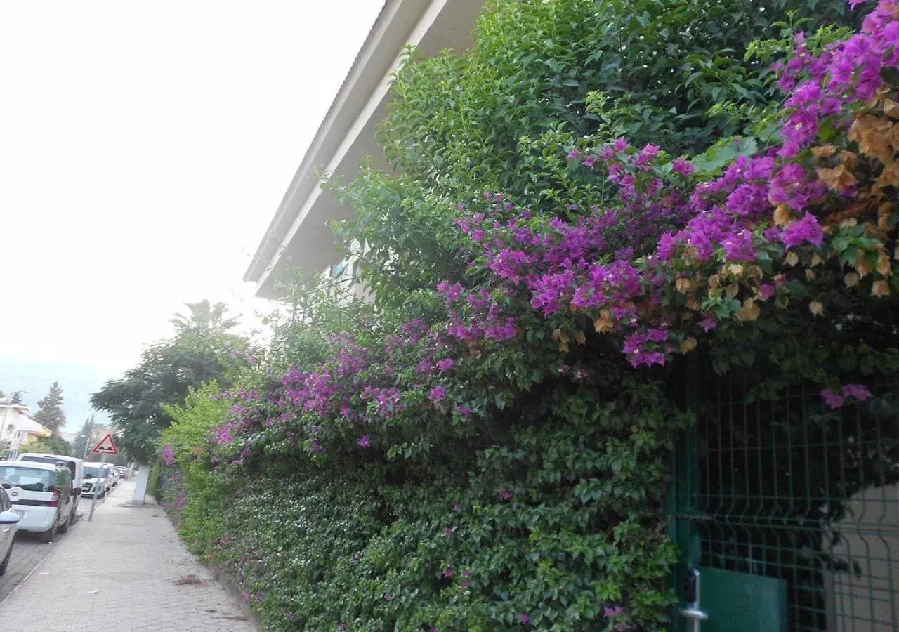 View (from property/room) in MURAT 2 Hotel View (from property/room) in MURAT 2 Hotel