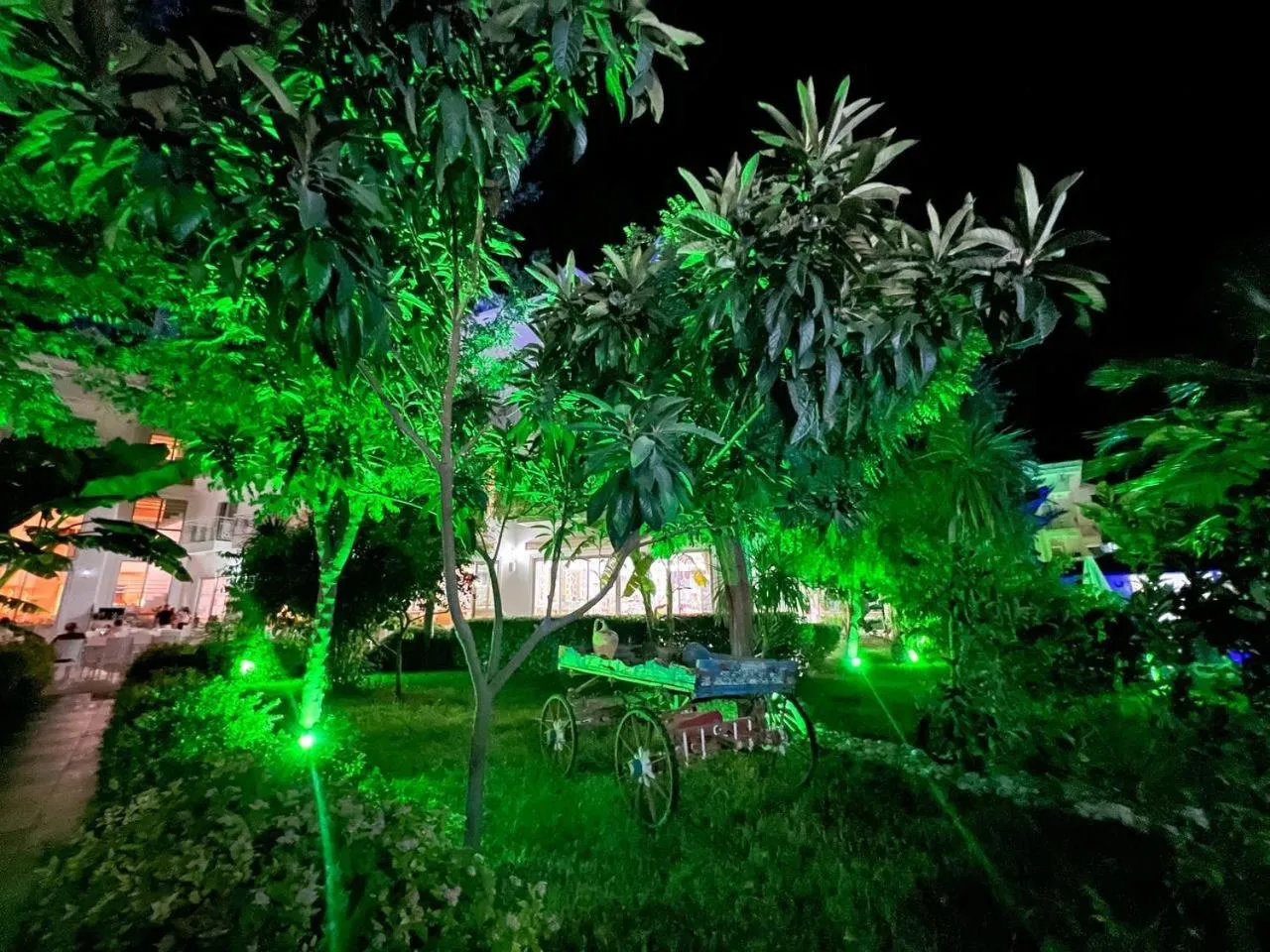 Garden in GRAND MIR'AMOR HOTEL & Spa -ULTRA ALL INCLUSIVE