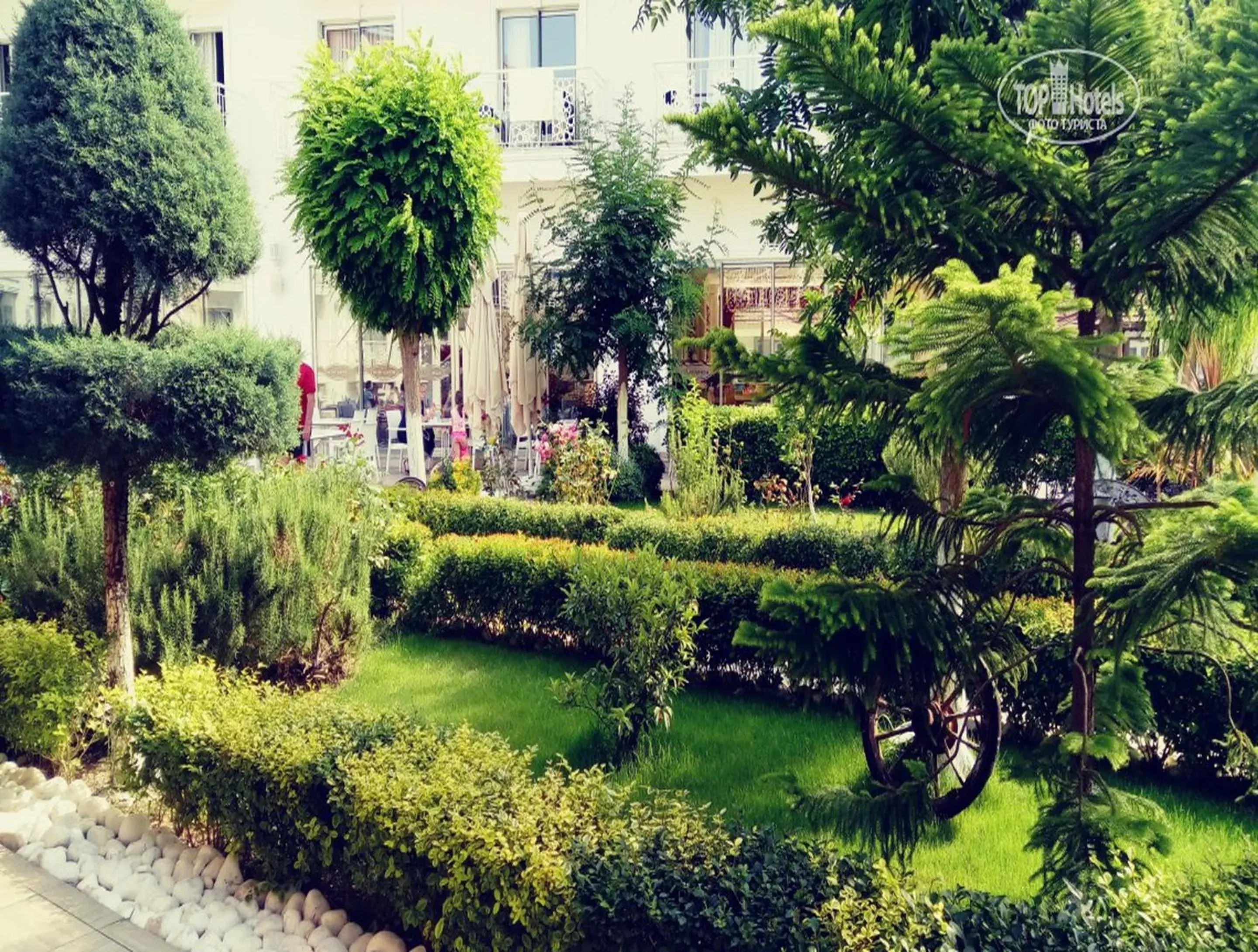 Garden in GRAND MIR'AMOR HOTEL & Spa -ULTRA ALL INCLUSIVE