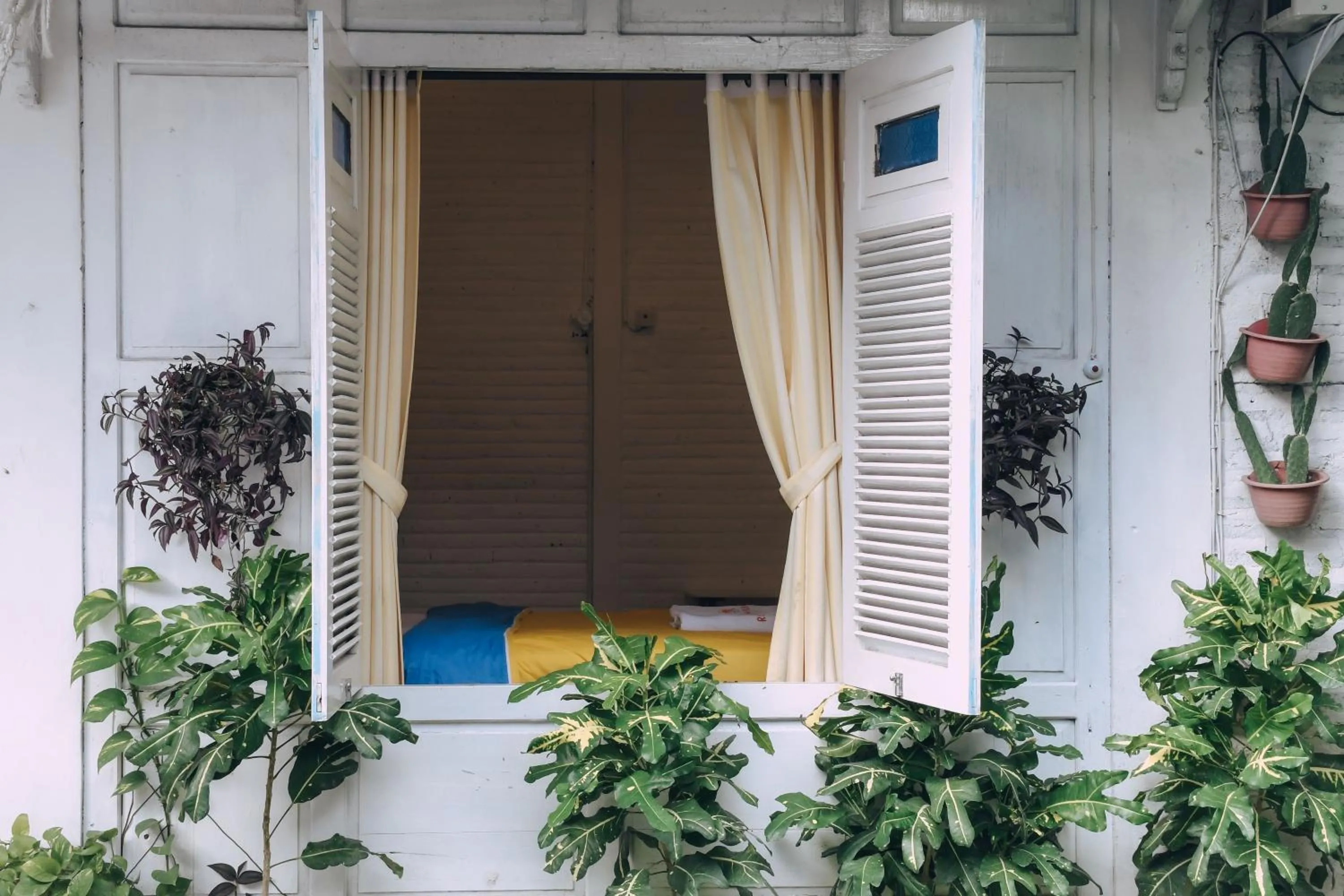 Property building in Roemah Renjana Yogyakarta