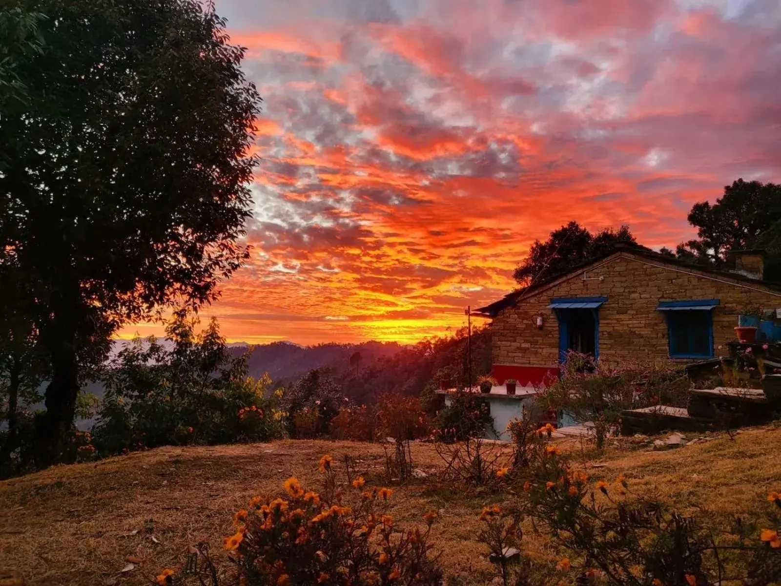 Property building in Kot Kailash Kumaon Property building in Kot Kailash Kumaon