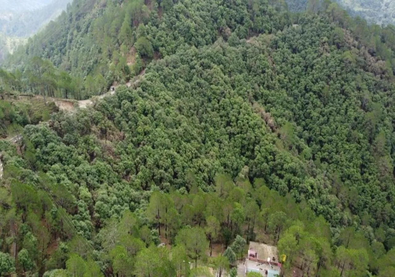 View (from property/room) in BluSalzz Escapade Resort Lansdowne