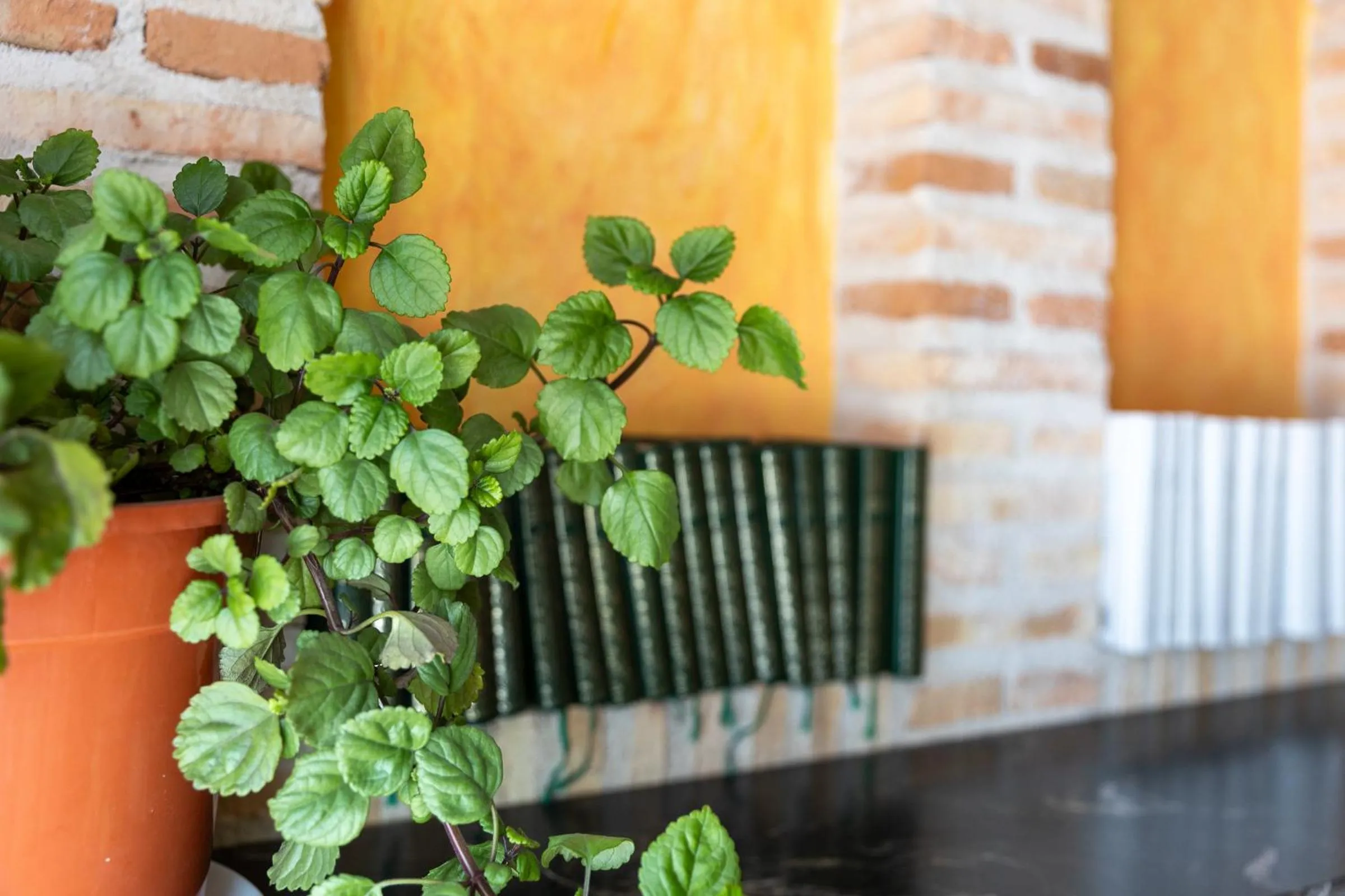 Property building in Hotel Pizarro