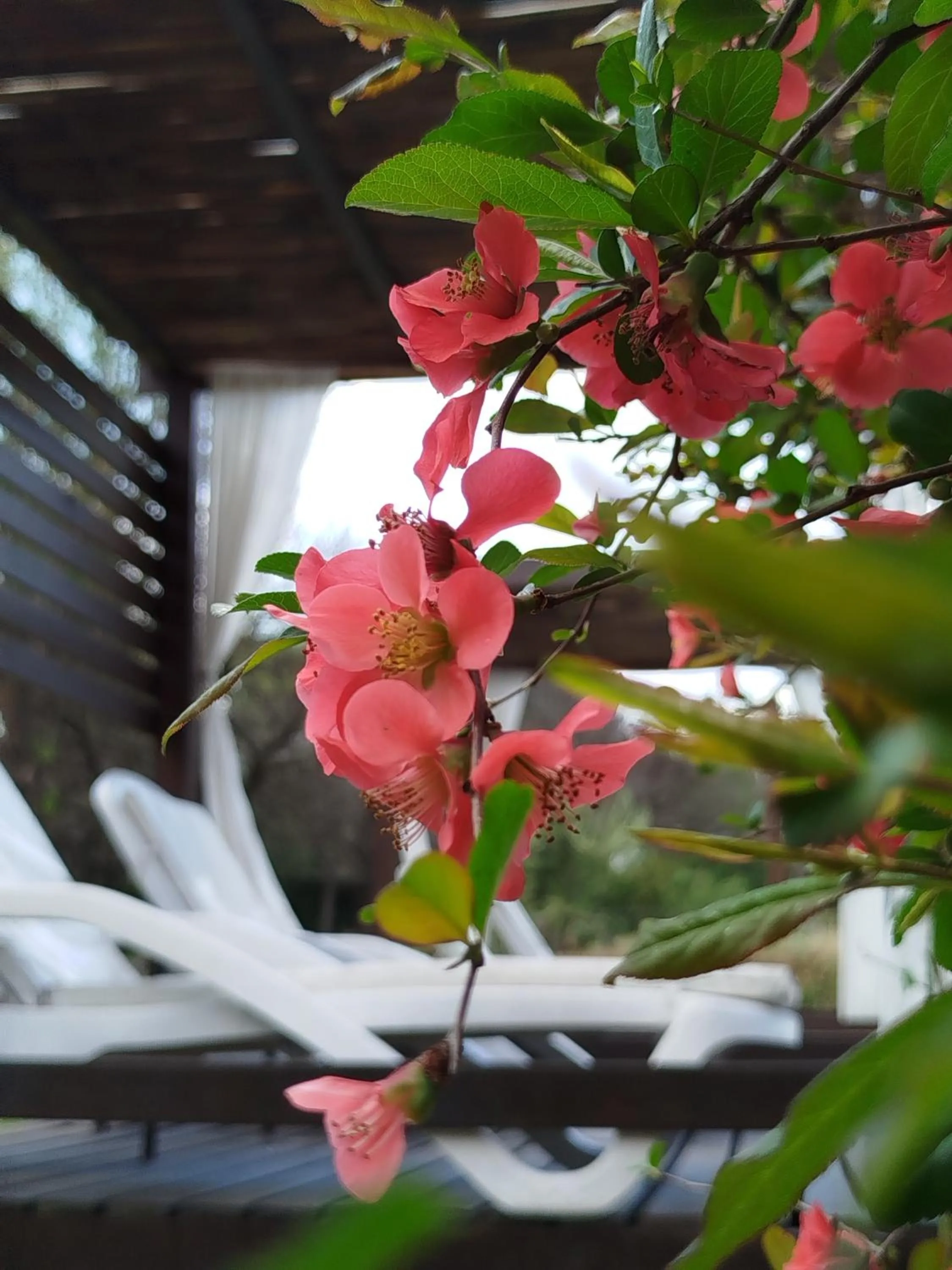 Hotel Boutique Spa & Sushi Posada de Campo-Solo adultos