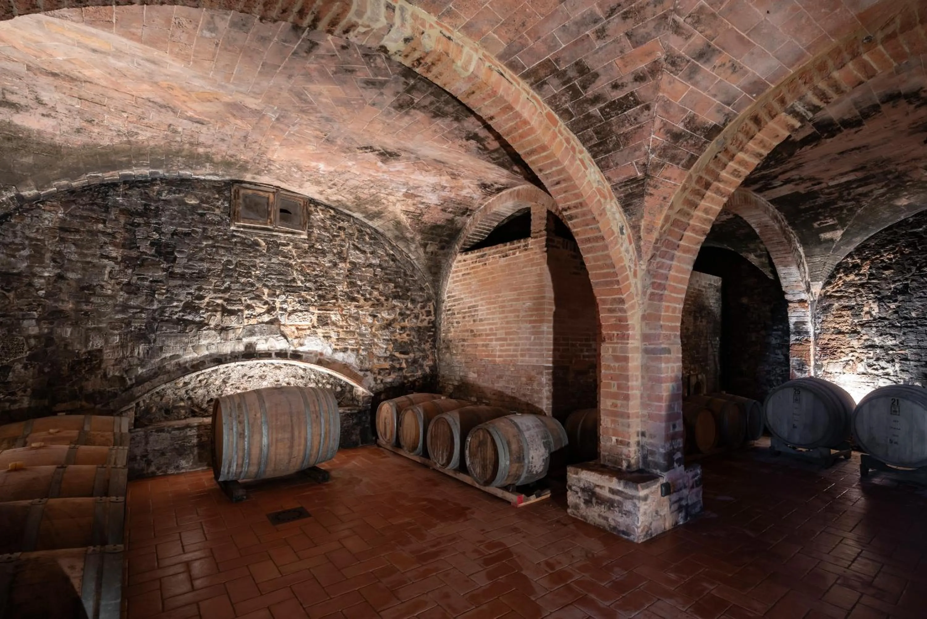 Food and drinks in Agriturismo Bio Fattoria Bacio