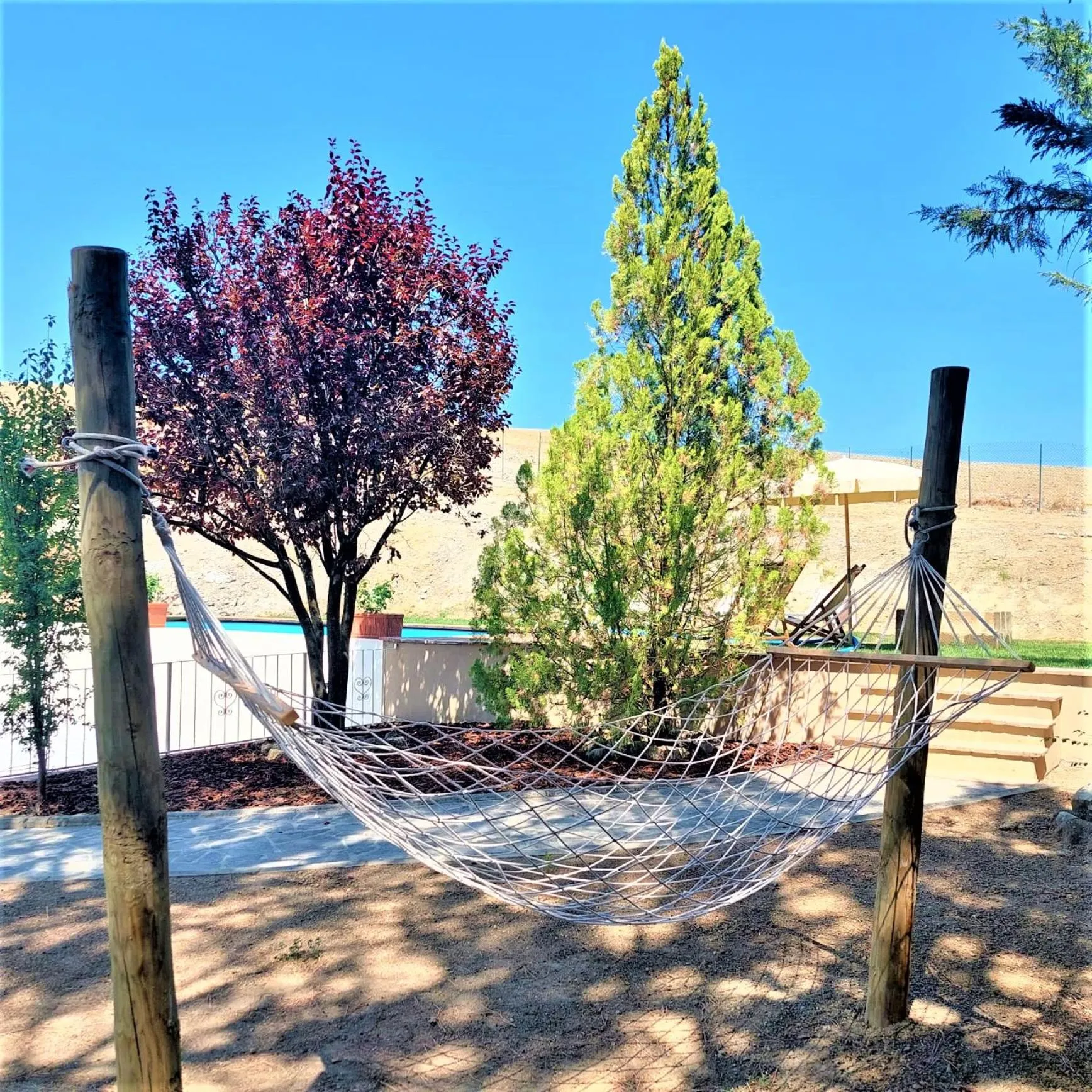 Children play ground in Agriturismo Bio Fattoria Bacio