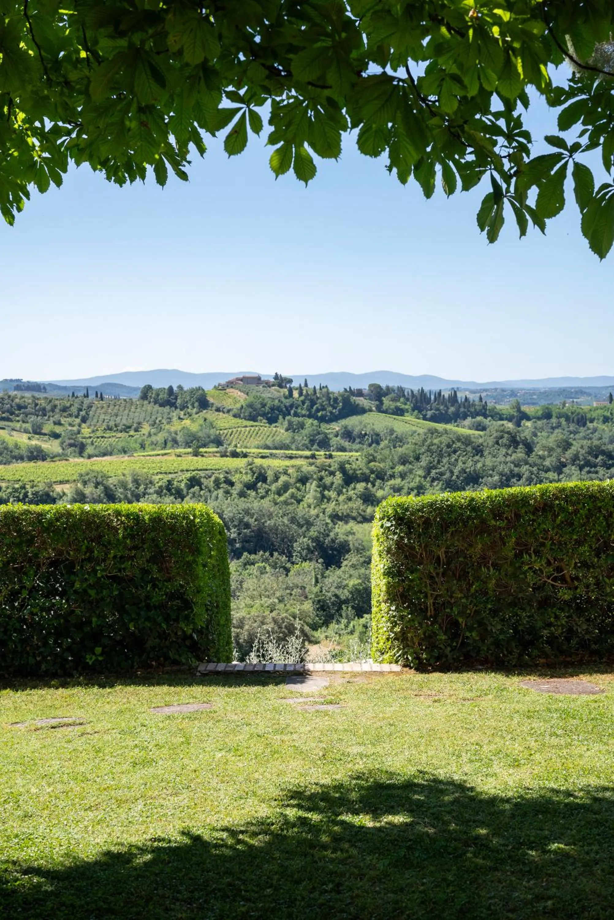 View (from property/room) in Agriturismo Bio Fattoria Bacio