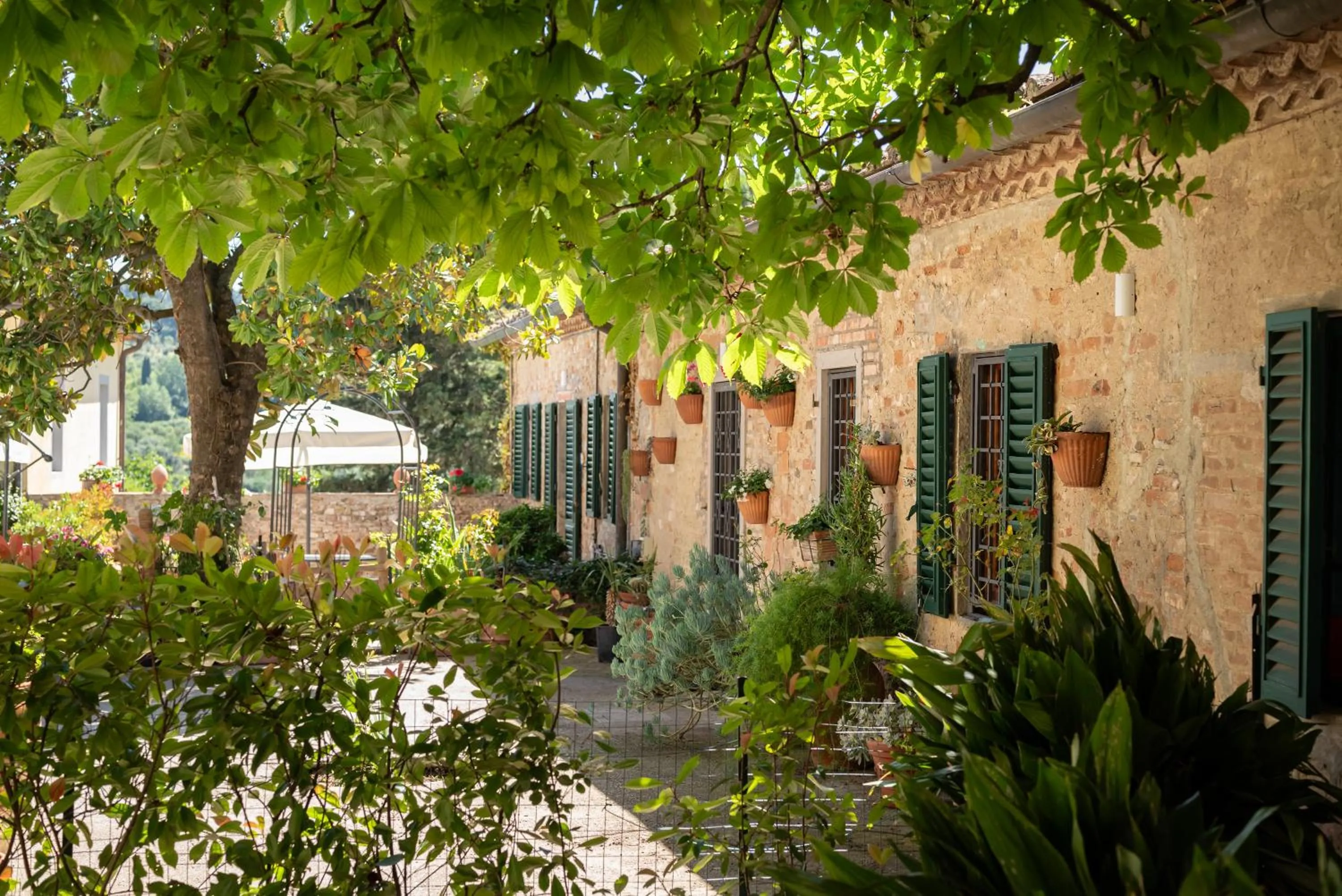Garden in Agriturismo Bio Fattoria Bacio