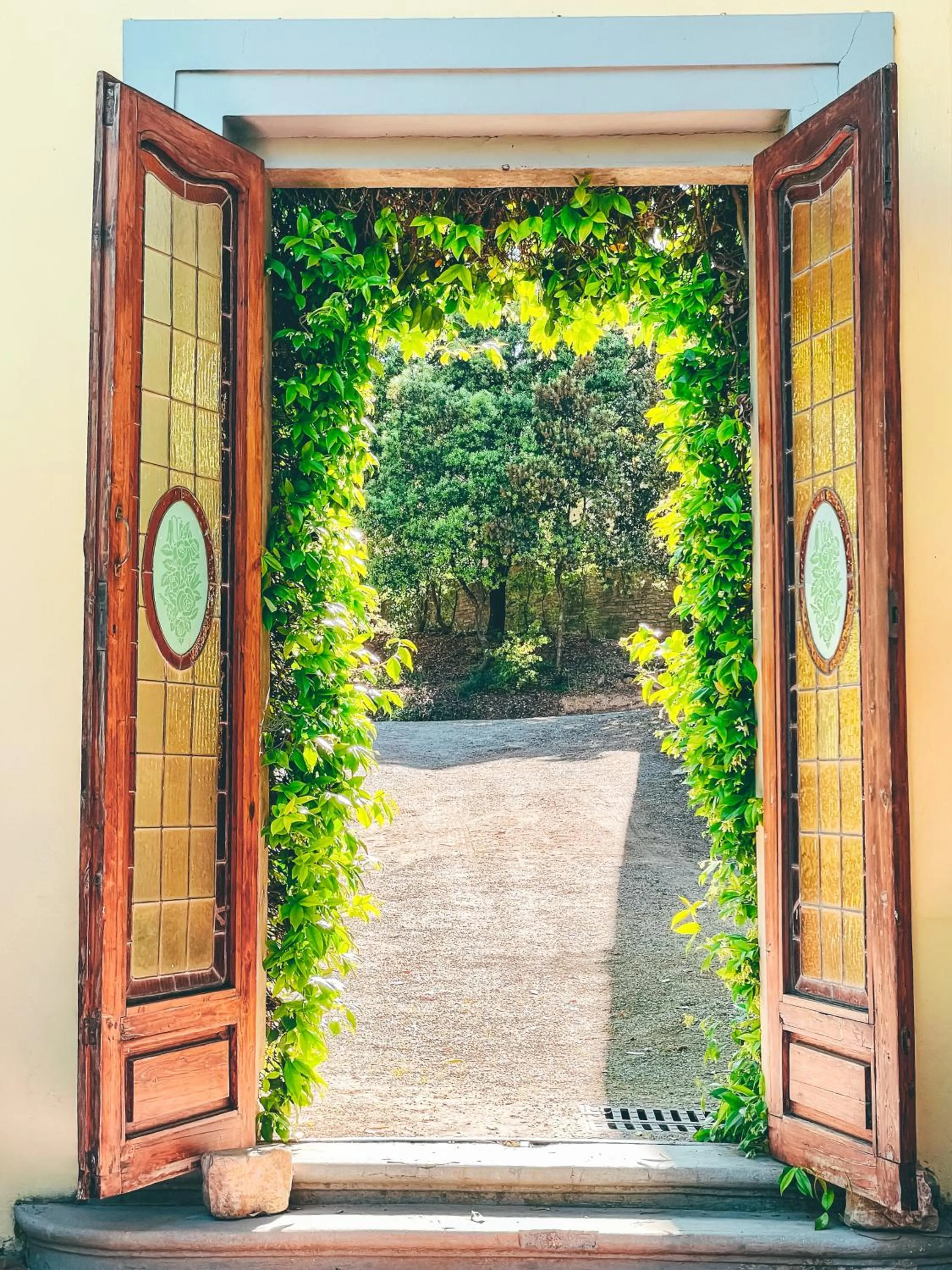 Garden view in Agriturismo Bio Fattoria Bacio