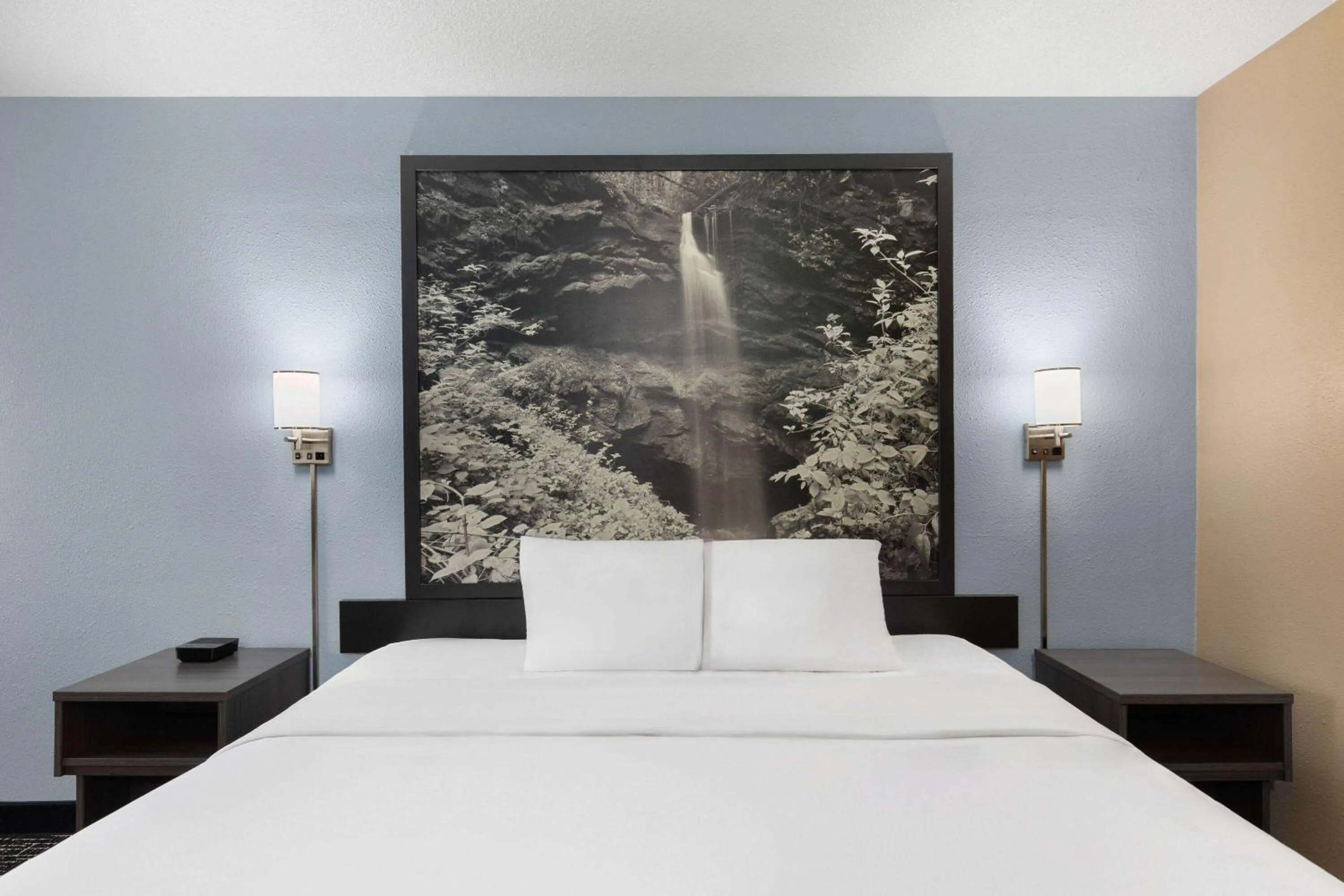 Photo of the whole room, Bed in Super 8 by Wyndham Paducah I-24 Exit 4